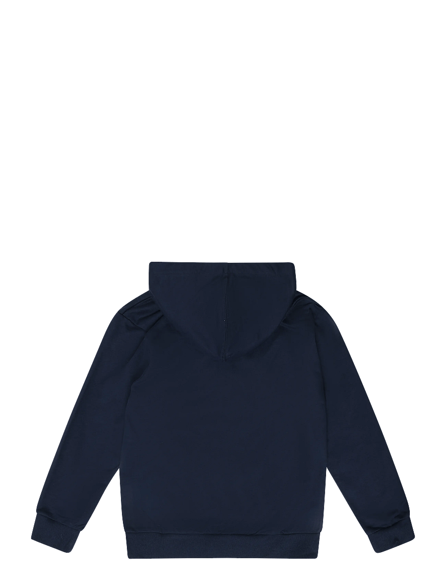 Lego Wear - LEGO® NINJAGO® Hooded Sweatshirt - LWSIAN 103 - huvtröjor - dark navy - 1