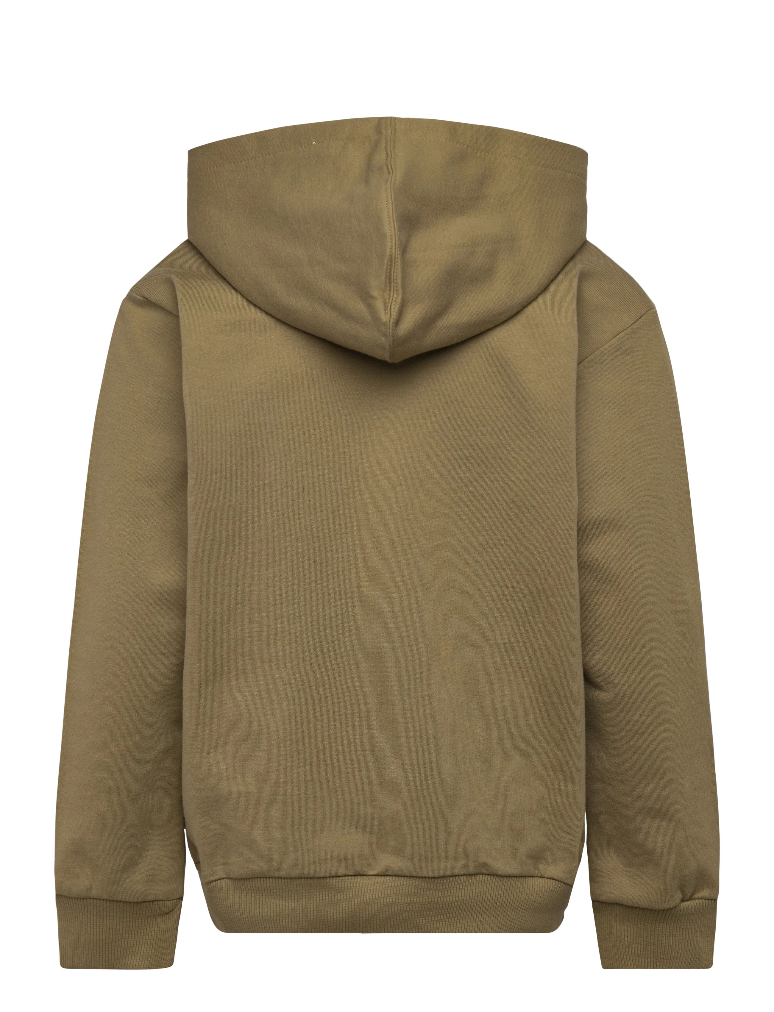 Lego Wear - LWSIAN 103 - HOODED SWEATSHIRT - hettupeysur - olive green - 1