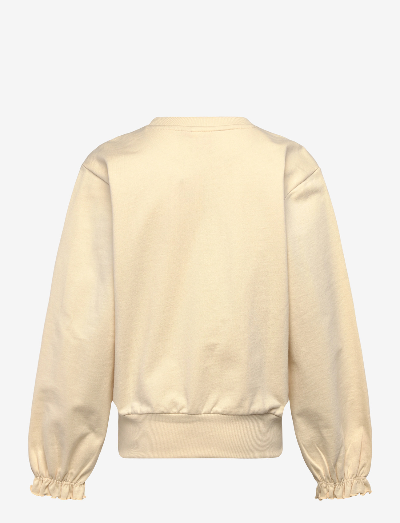 LEGO kidswear - LWSIA 100 - SWEATSHIRT - sweatshirts - dark off white - 2