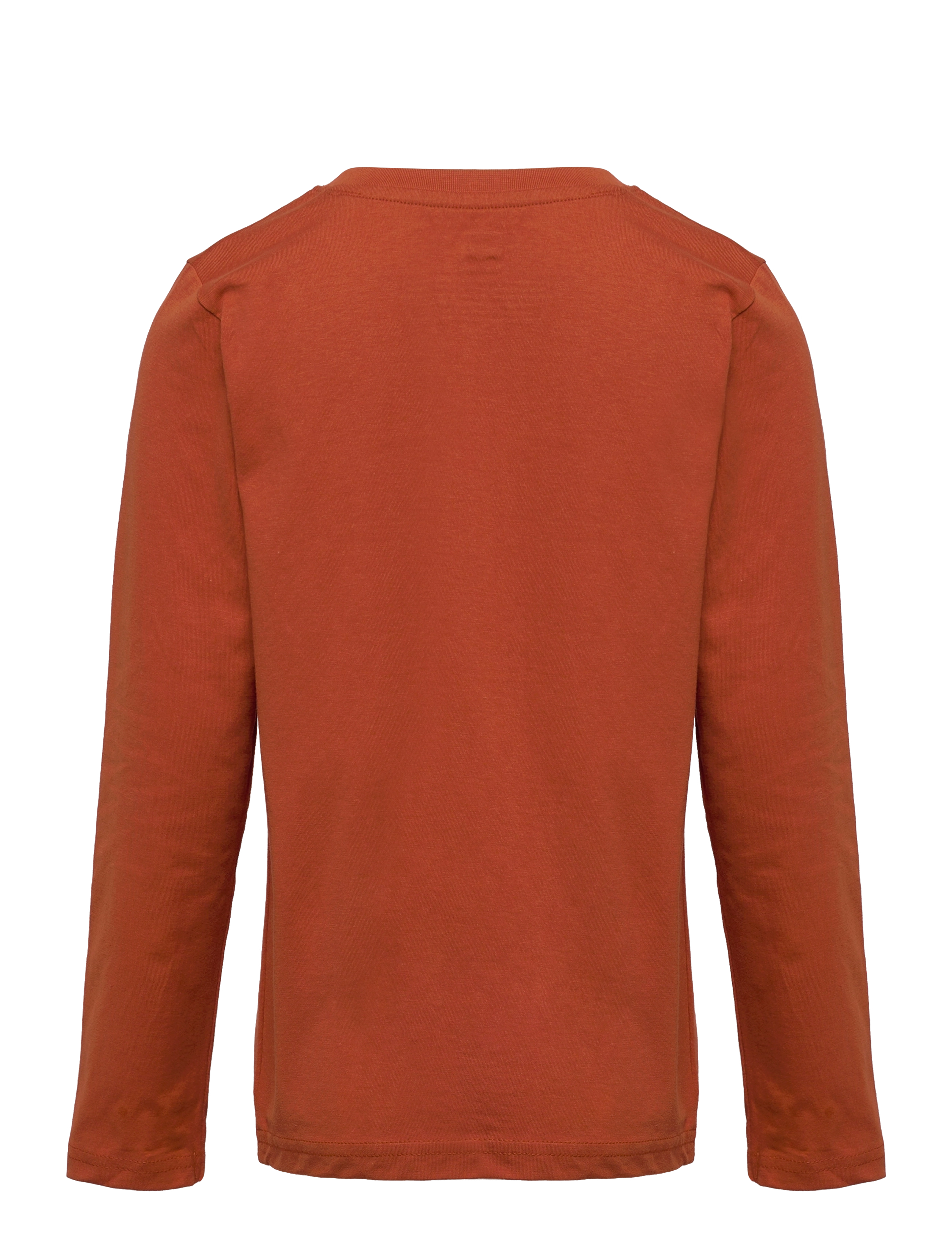 LEGO Wear - M12010727 - T-SHIRT LS - caramel brown - 1