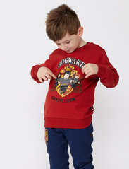 LEGO kidswear - LWSTORM 104 - SWEAT CREW NECK - sweatshirts - dark red - 2