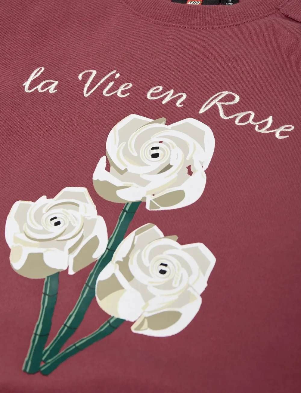 LEGO kidswear - LWSANA 601 - SWEATSHIRT - sweatshirts - earth red - 3