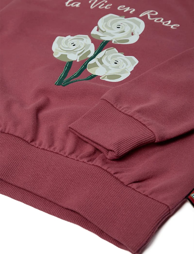 LEGO kidswear - LWSANA 601 - SWEATSHIRT - sweatshirts - earth red - 4