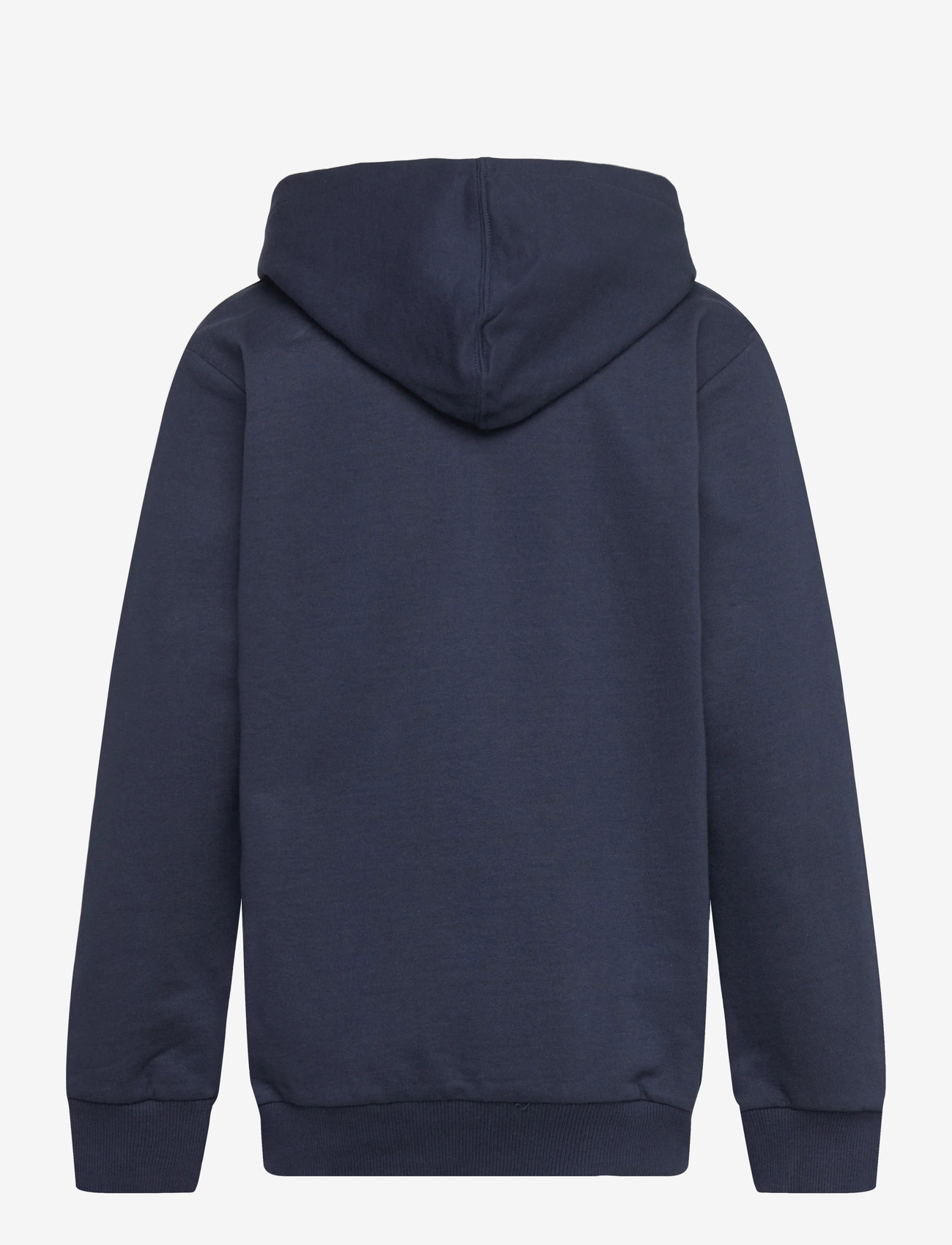 LEGO kidswear - LWSAKU 707 - HOODED SWEATSHIRT - kapuzenpullover - dark navy - 1
