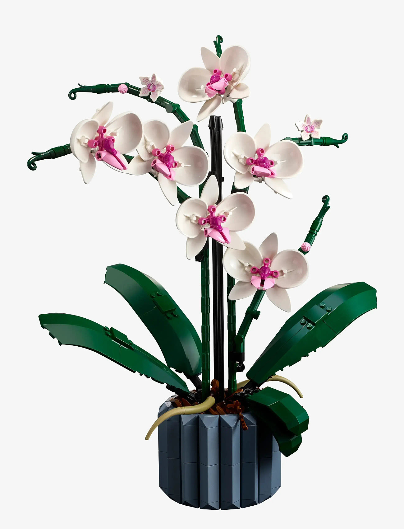 LEGO - Orkidé 10311 - børn - multicolor - 2