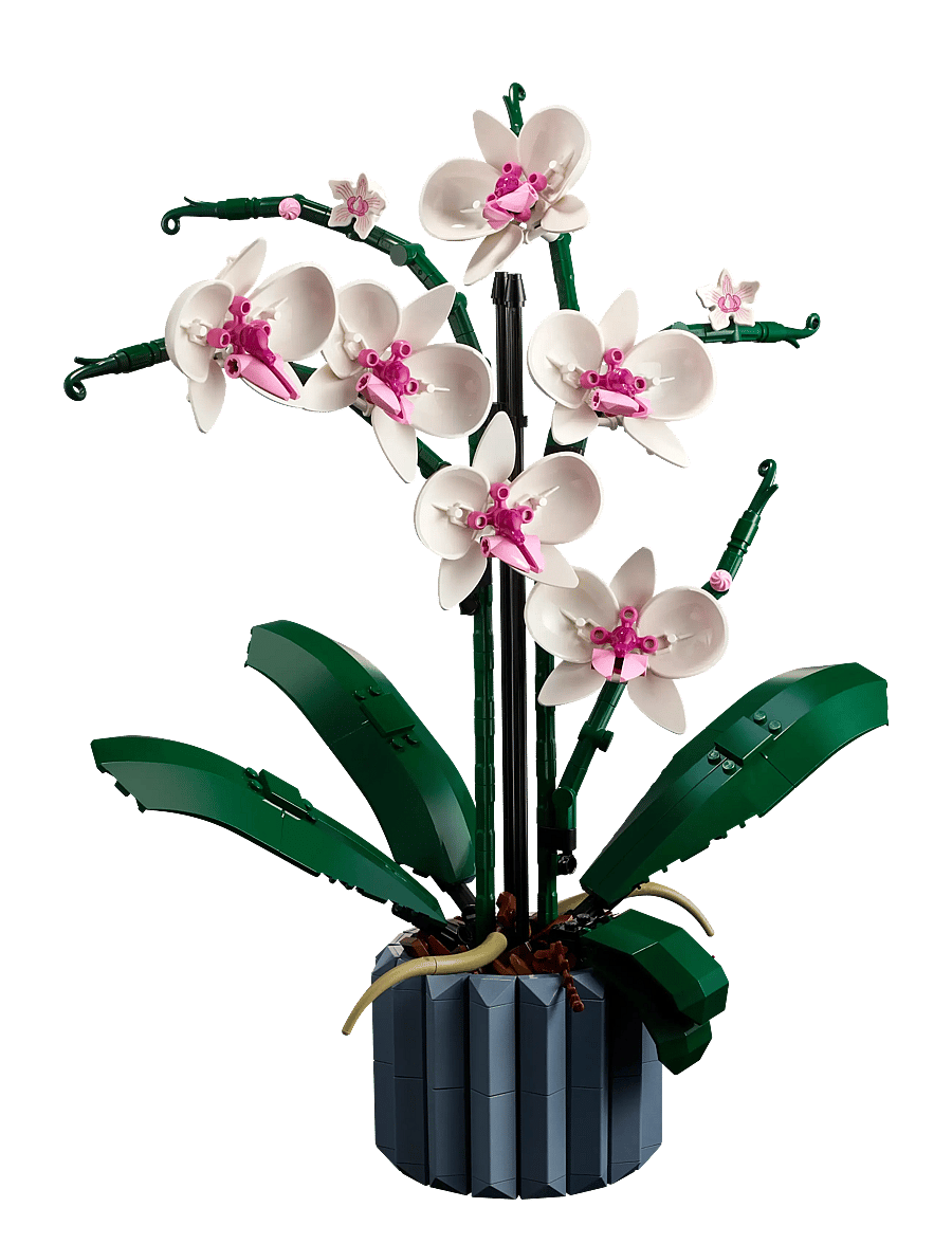 LEGO - Orchid 10311 Plant Decor Building Kit - geburtstagsgeschenke - multicolor - 2