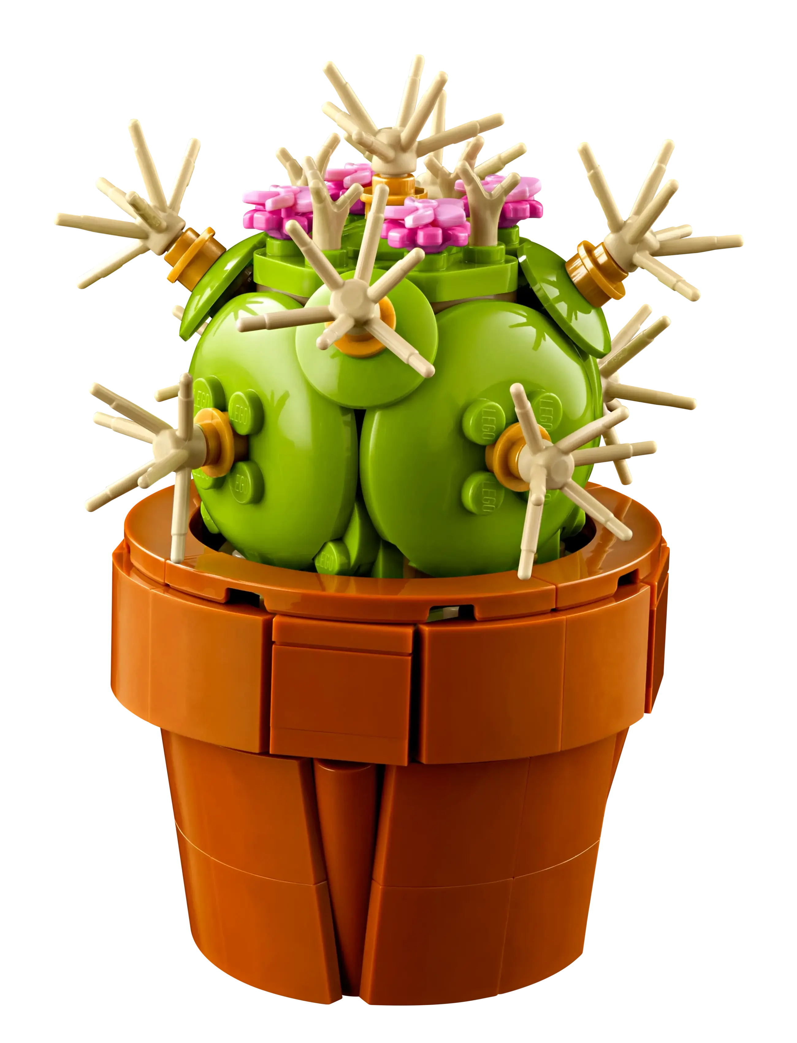 LEGO - Botanicals Tiny Plants Building Set for Adults 10329 - birthday gifts - multicolor - 2