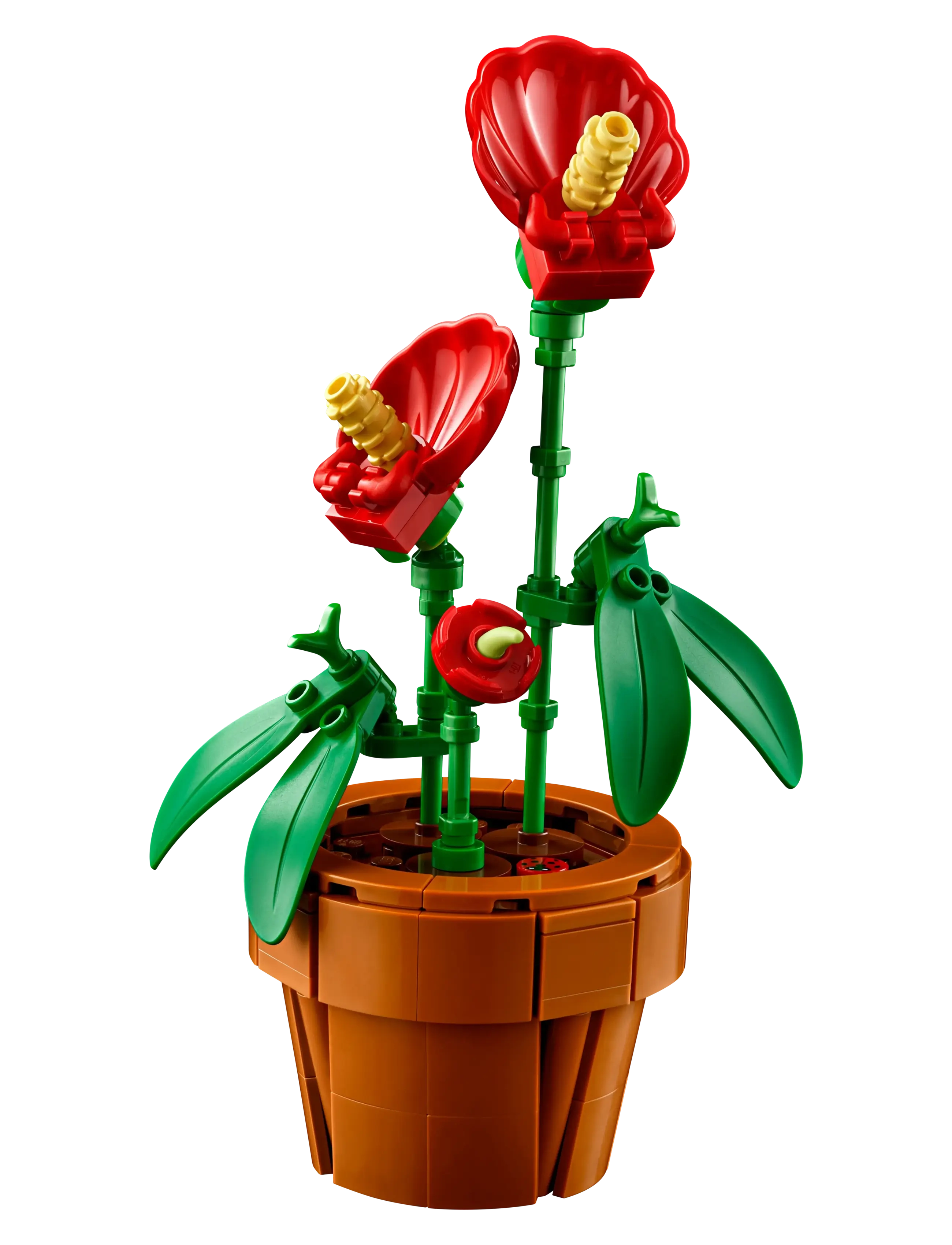 LEGO - Botanicals Tiny Plants Building Set for Adults 10329 - birthday gifts - multicolor - 3