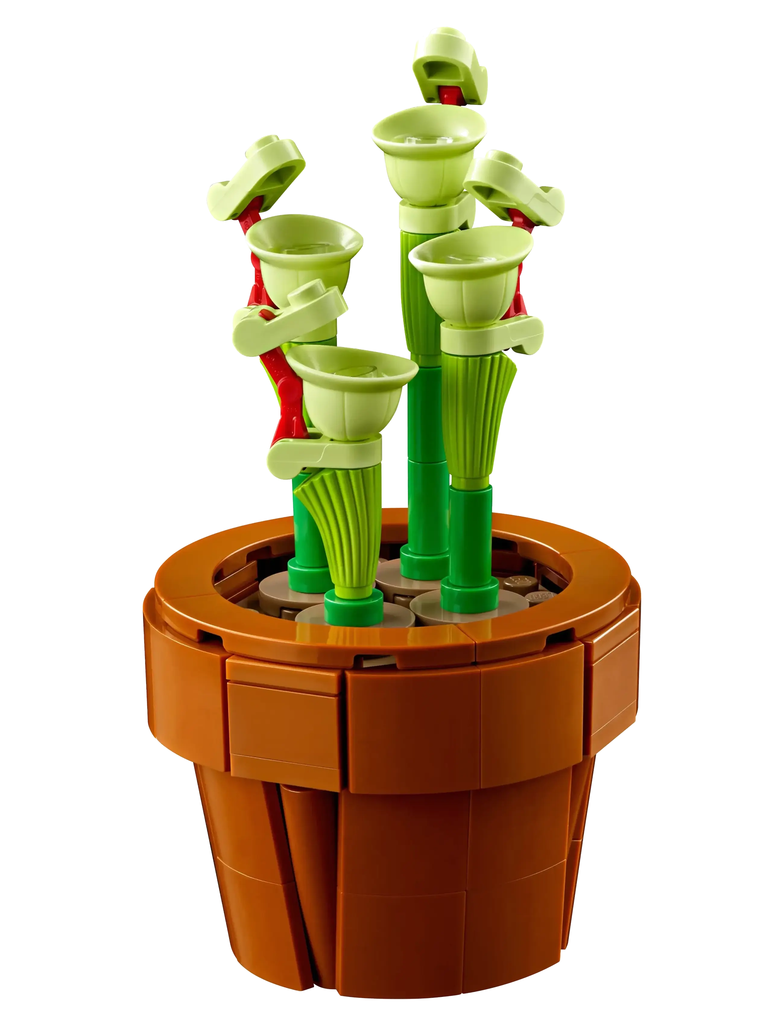 LEGO - Botanicals Tiny Plants Building Set for Adults 10329 - birthday gifts - multicolor - 4