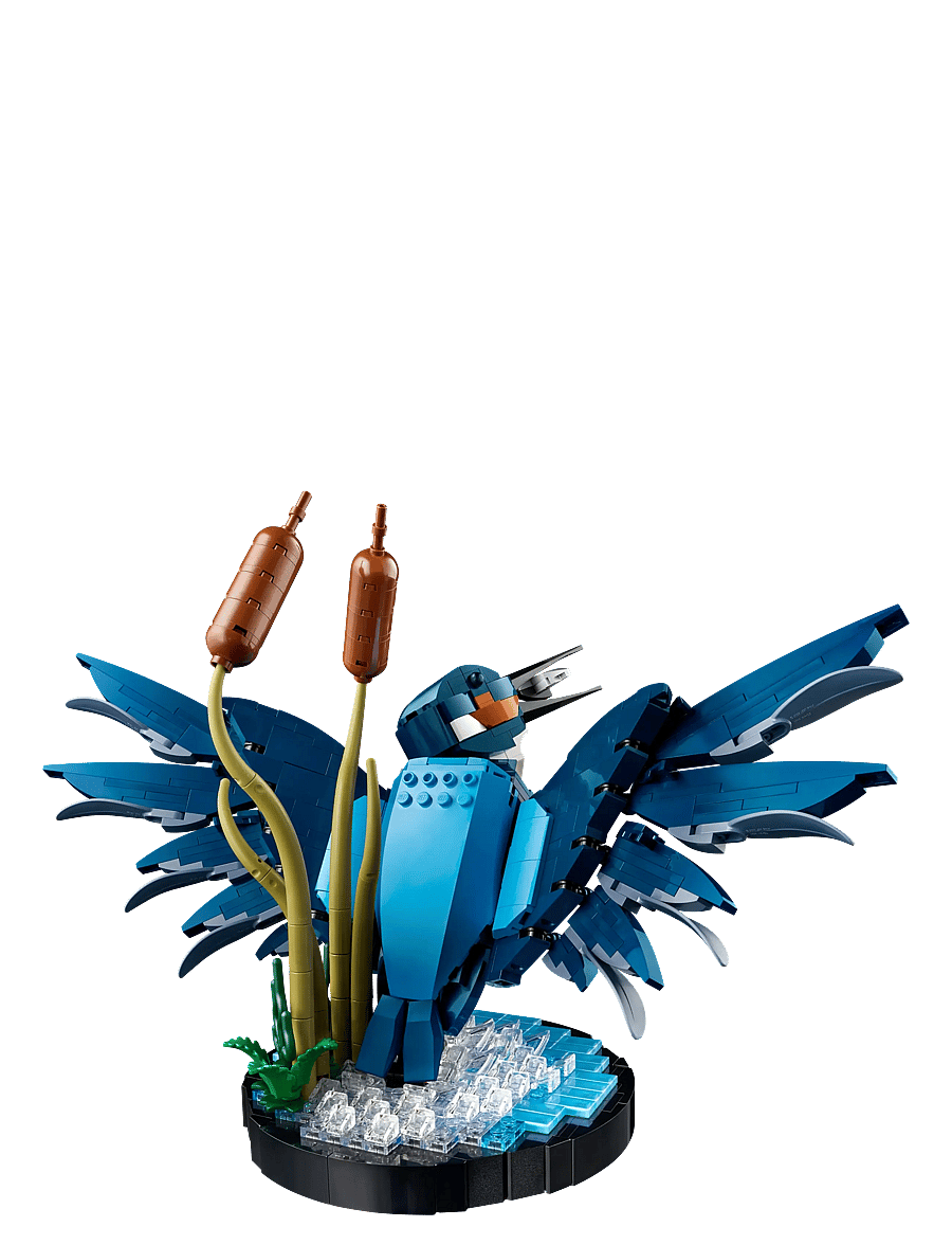 LEGO - Icons Kingfisher Bird Building Set 10331 - sünnipäevakingitused - multi - 2
