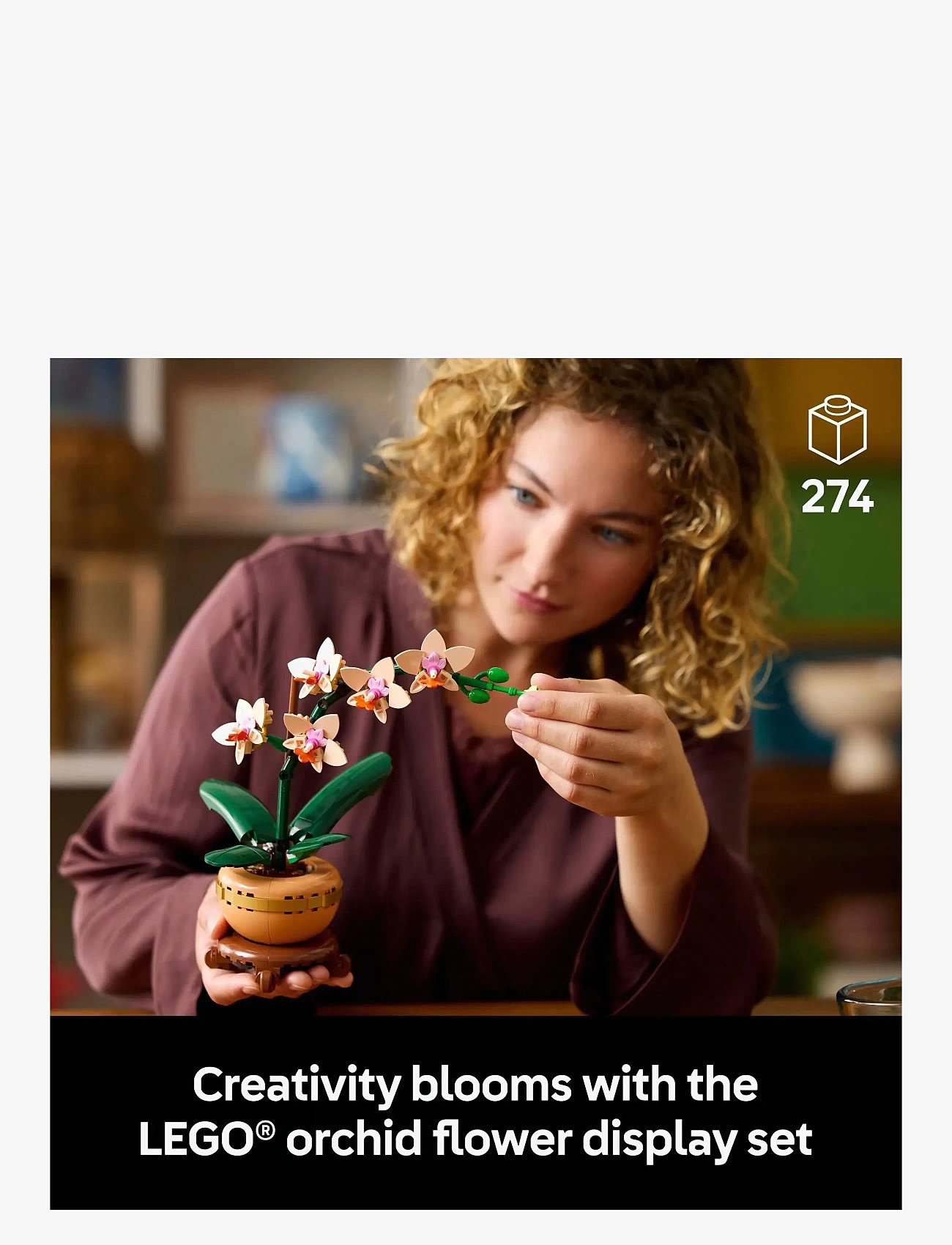 LEGO - Botanicals Mini Orchid Plant Gift 10343 - multi - 1