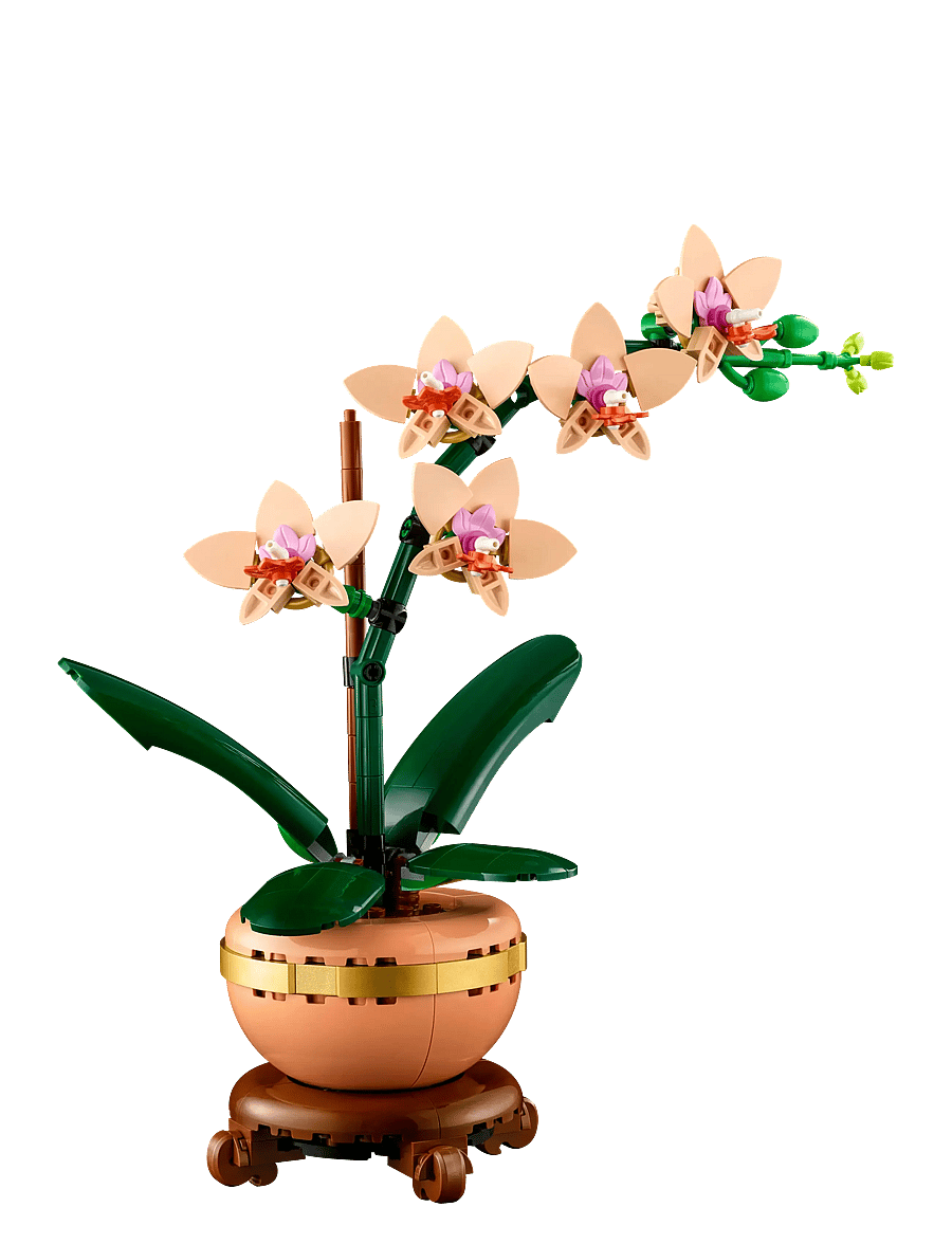 LEGO - Botanicals Mini Orchid Plant Gift 10343 - lego adults welcome - multi - 2