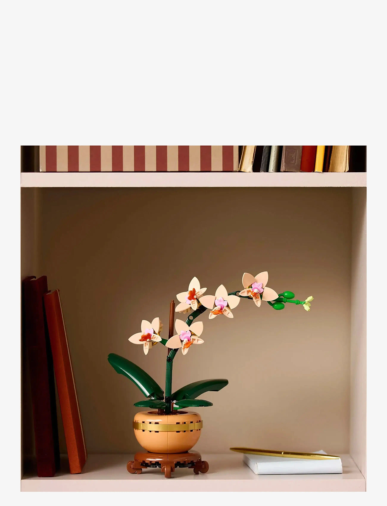 LEGO - Botanicals Mini Orchid Plant Gift 10343 - multi - 3
