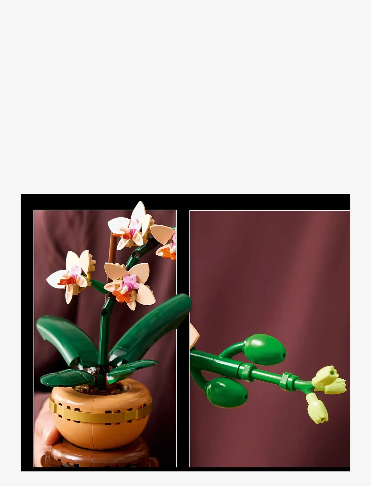 LEGO - Botanicals Mini Orchid Plant Gift 10343 - multi - 4