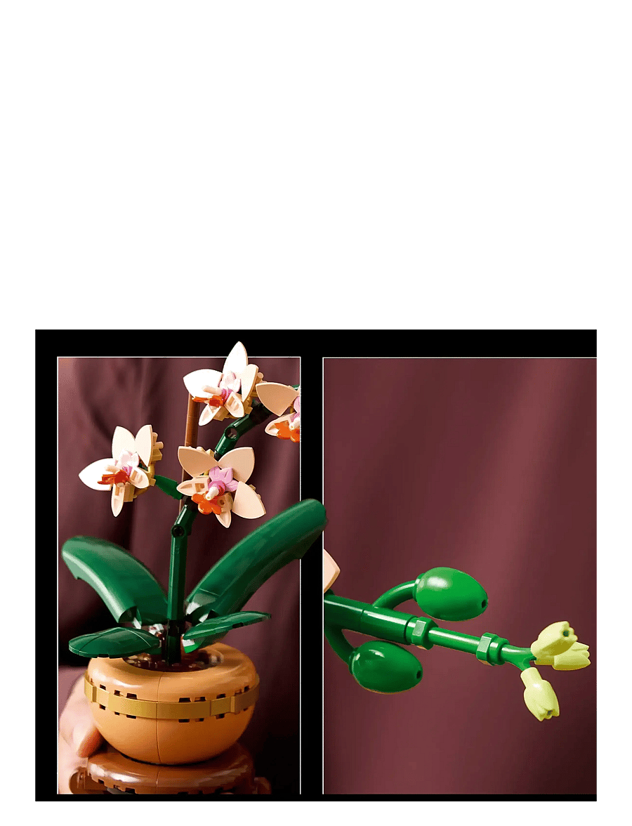 LEGO - Botanicals Mini Orchid Plant Gift 10343 - lego adults welcome - multi - 4