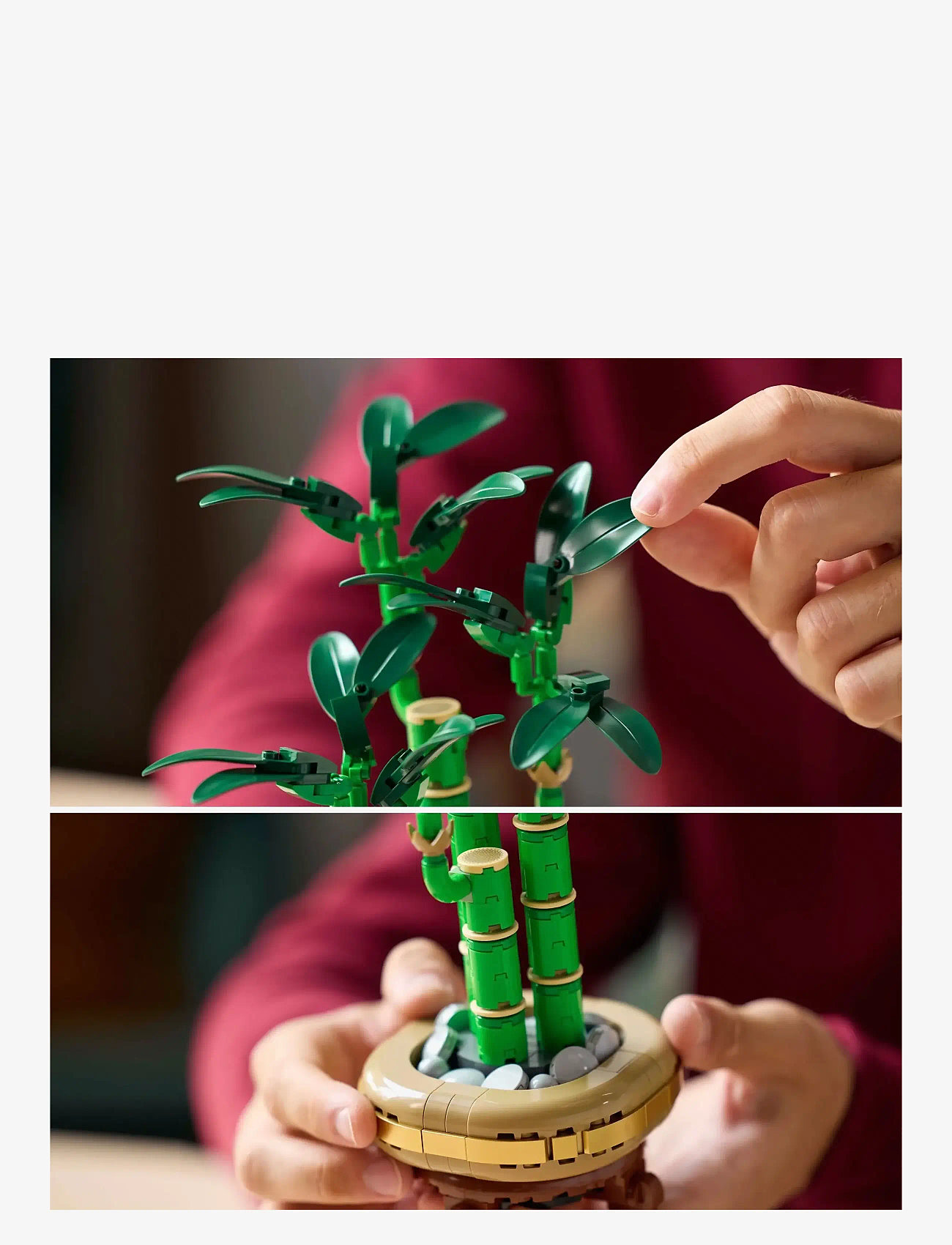 LEGO - Bambudracena 10344 - lego adults welcome - multi - 4