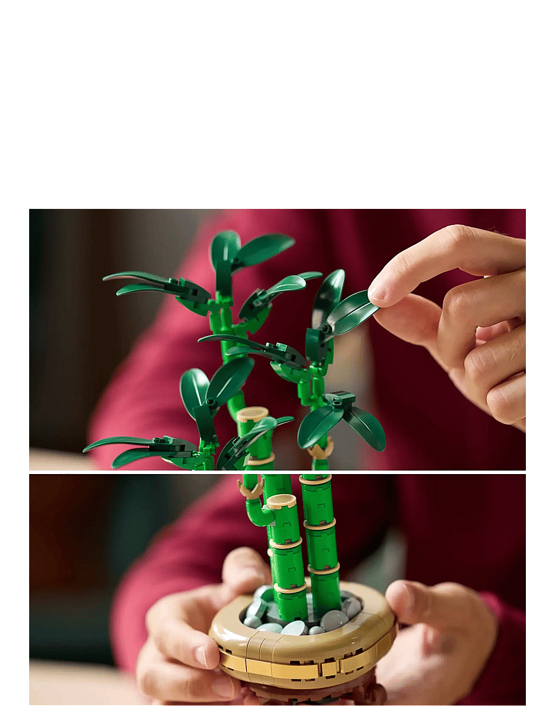 LEGO - Botanicals Lucky Bamboo Plant Decor 10344 - madalaimad hinnad - multi - 4