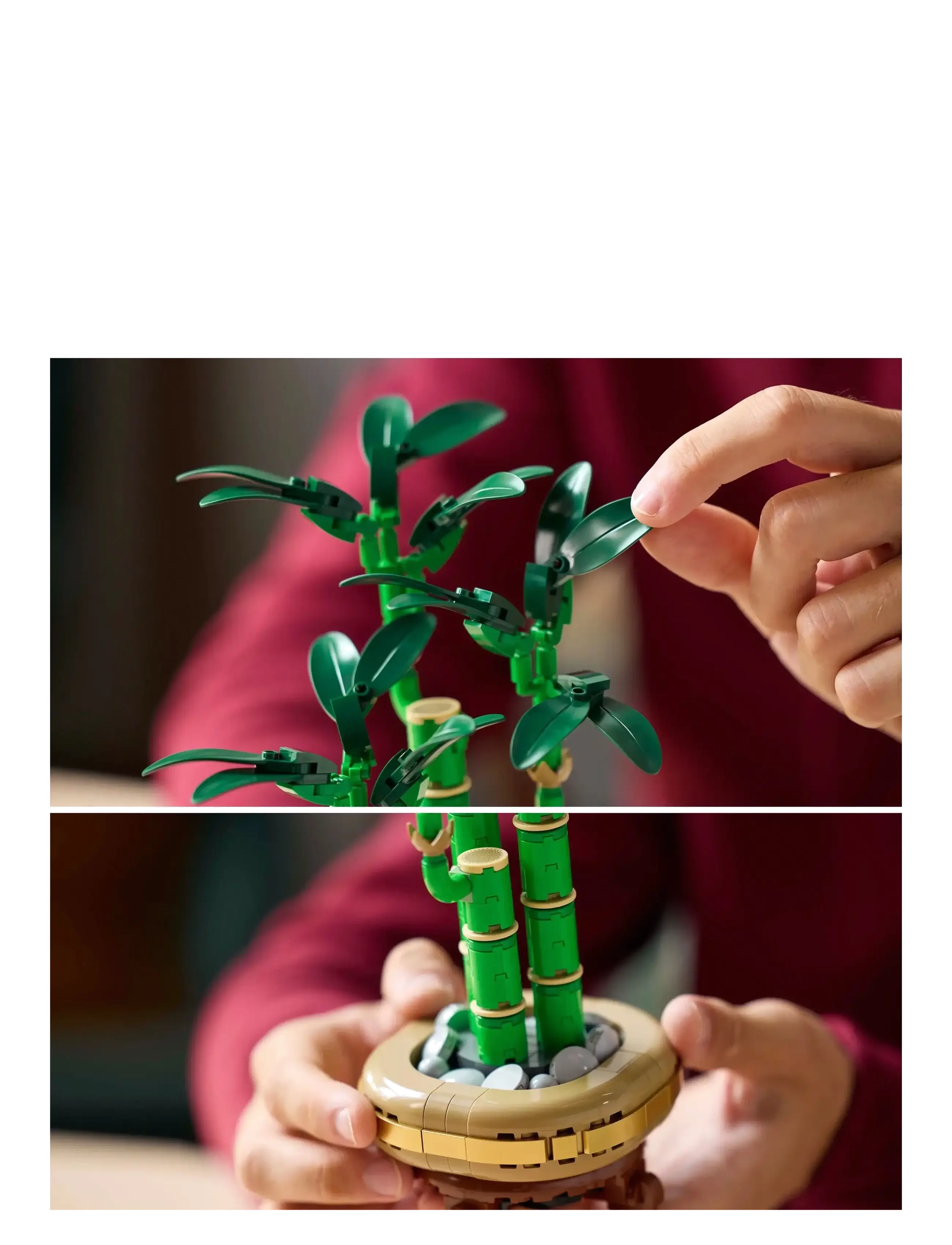 LEGO - Botanicals Lucky Bamboo Plant Decor 10344 - lowest prices - multi - 4