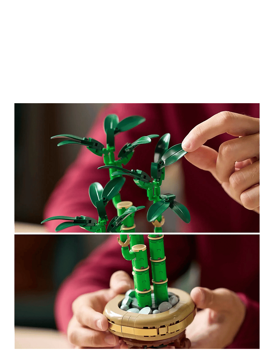 LEGO - Botanicals Lucky Bamboo Plant Decor 10344 - die niedrigsten preise - multi - 4