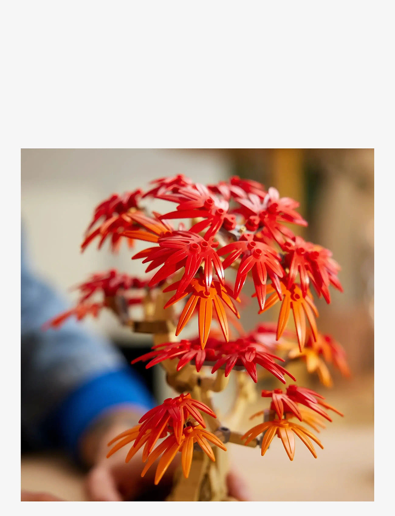 LEGO - Botanicals Japanese Red Maple Bonsai Tree Plant Decor 10348 - lego adults welcome - multi - 4