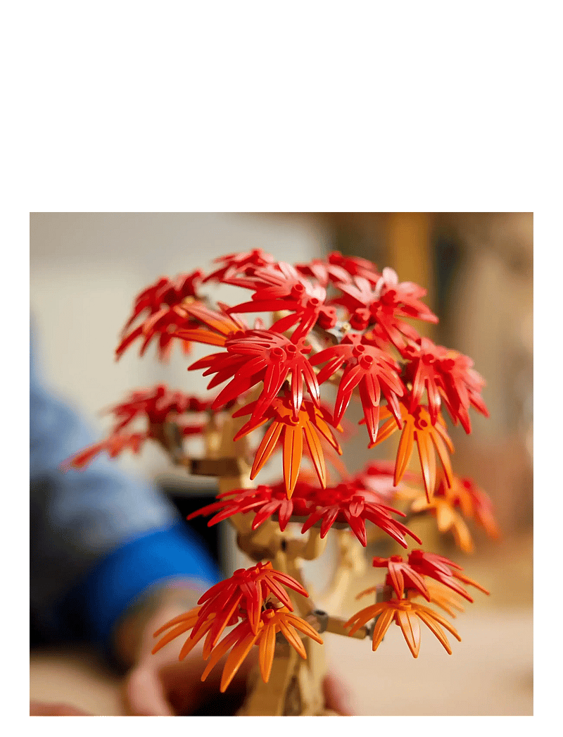 LEGO - Botanicals Japanese Red Maple Bonsai Tree Plant Decor 10348 - lego adults welcome - multi - 4