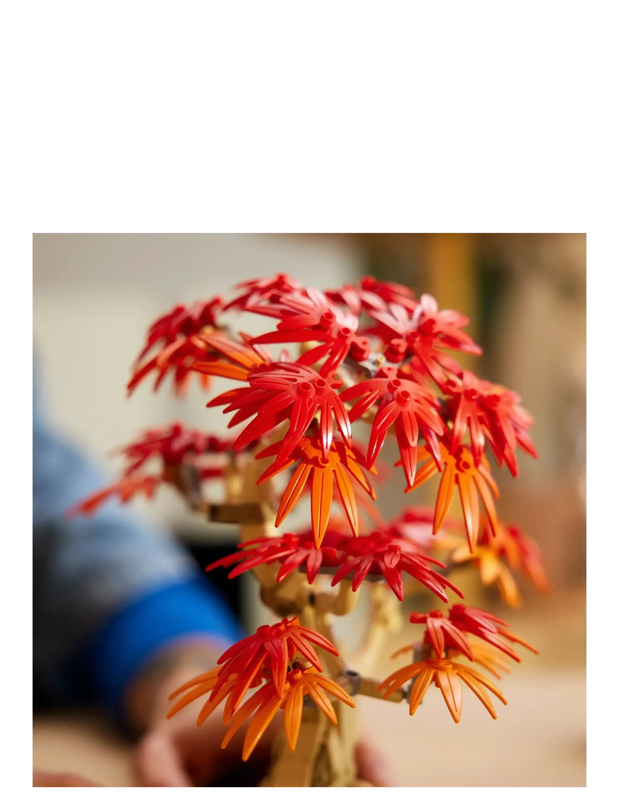 LEGO - Botanicals Japanese Red Maple Bonsai Tree Plant Decor 10348 - lego adults welcome - multi - 4
