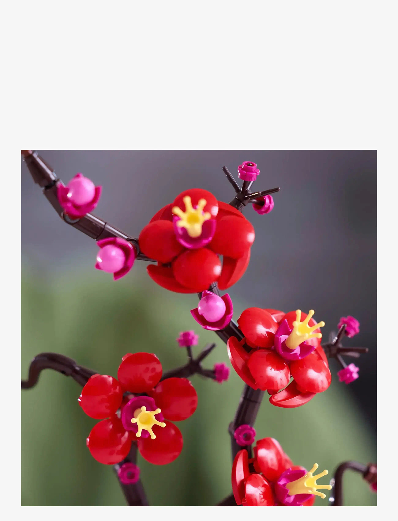 LEGO - Botanicals Plum Blossom Flower Decor Display Set 10369 - kingitused alla 50€ - multi - 3