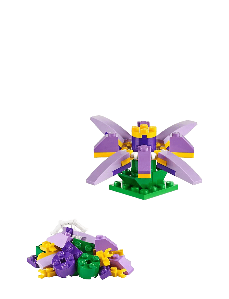LEGO - LEGO® Medium Creative Brick Box - lego classic - multicolor - 3