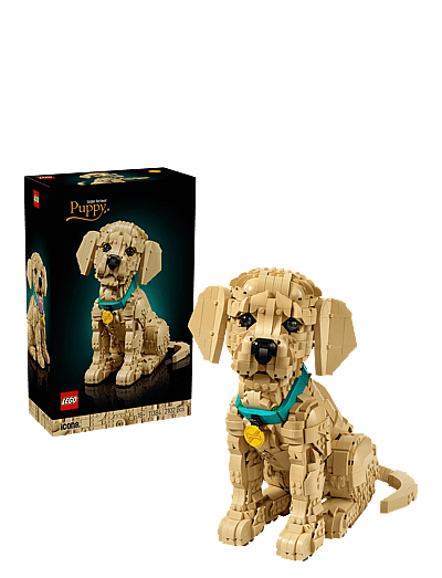 LEGO Icons Golden Retriever Puppy - Animal Figure 11384 - LEGO Spielzeuge - MULTI / beige