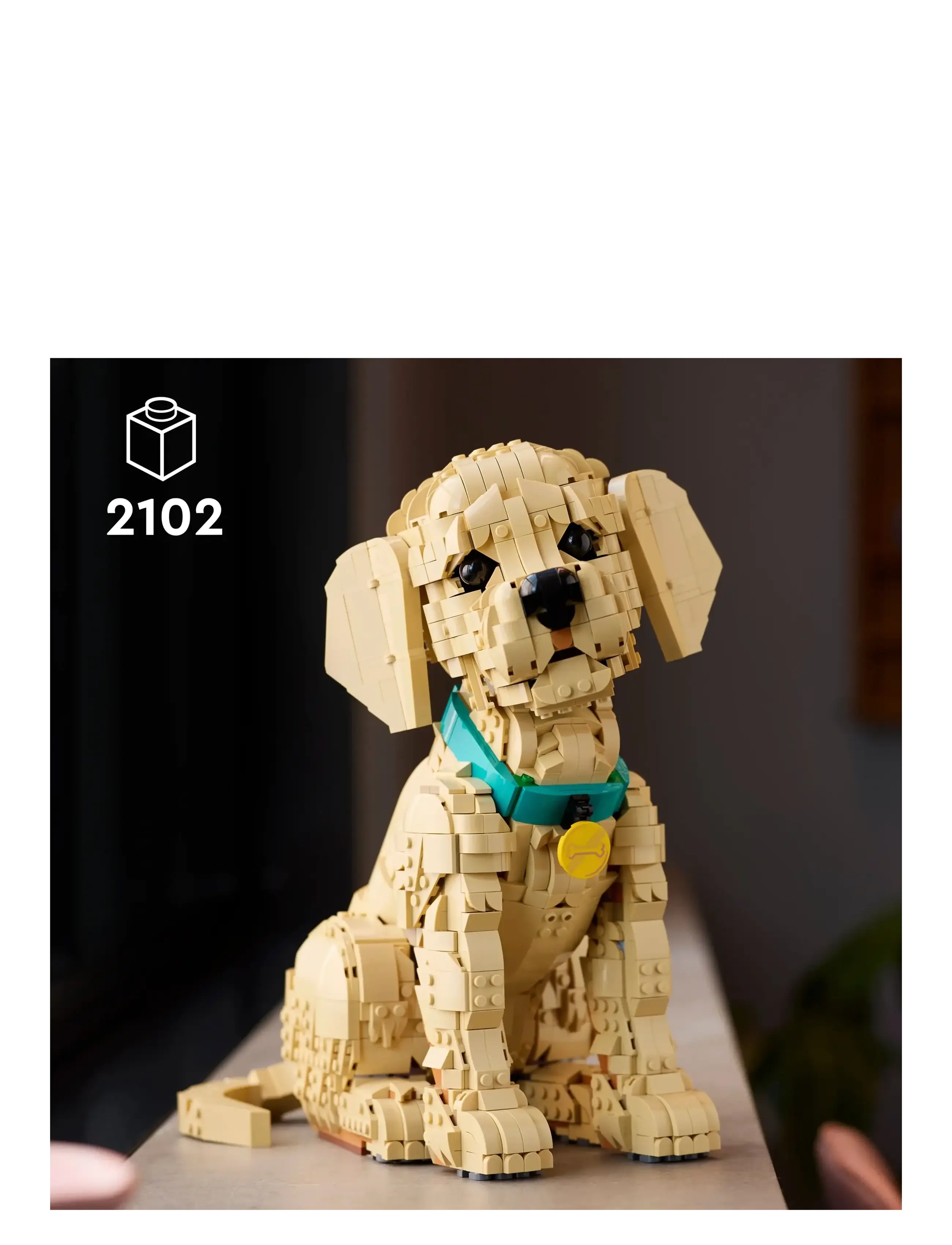 LEGO - Icons Golden Retriever Puppy - Animal Figure 11384 - lego icons - multi - 1