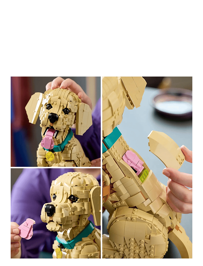 LEGO - Icons Golden Retriever Puppy - Animal Figure 11384 - lego icons - multi - 4