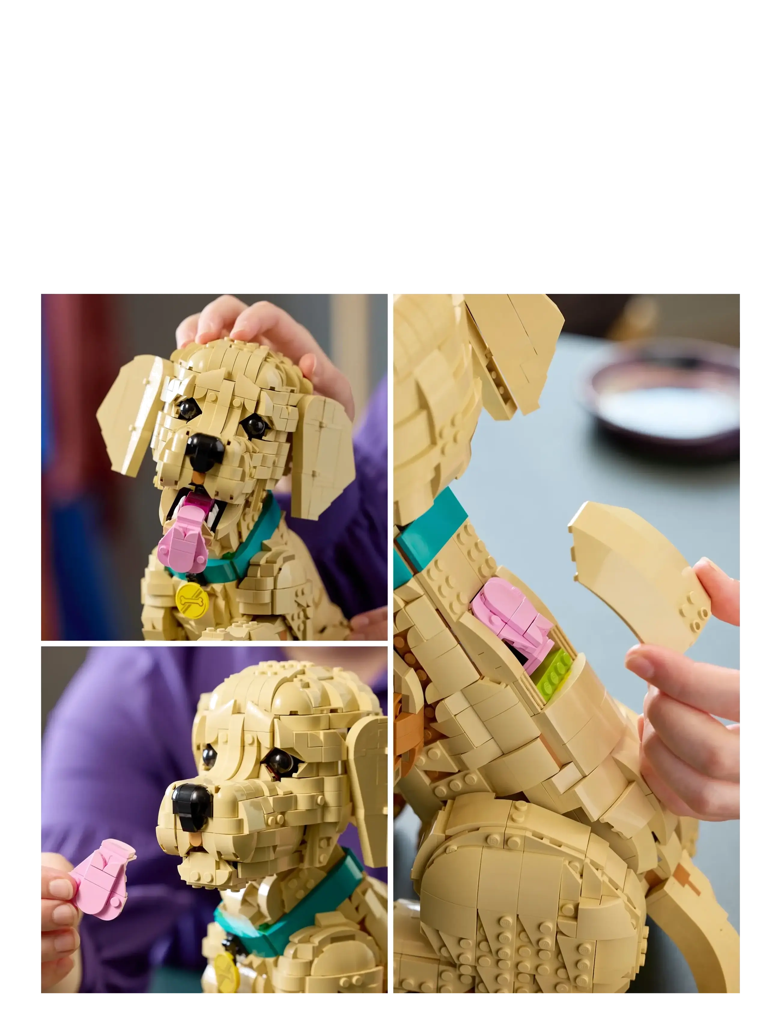 LEGO - Icons Golden Retriever Puppy - Animal Figure 11384 - lego icons - multi - 4