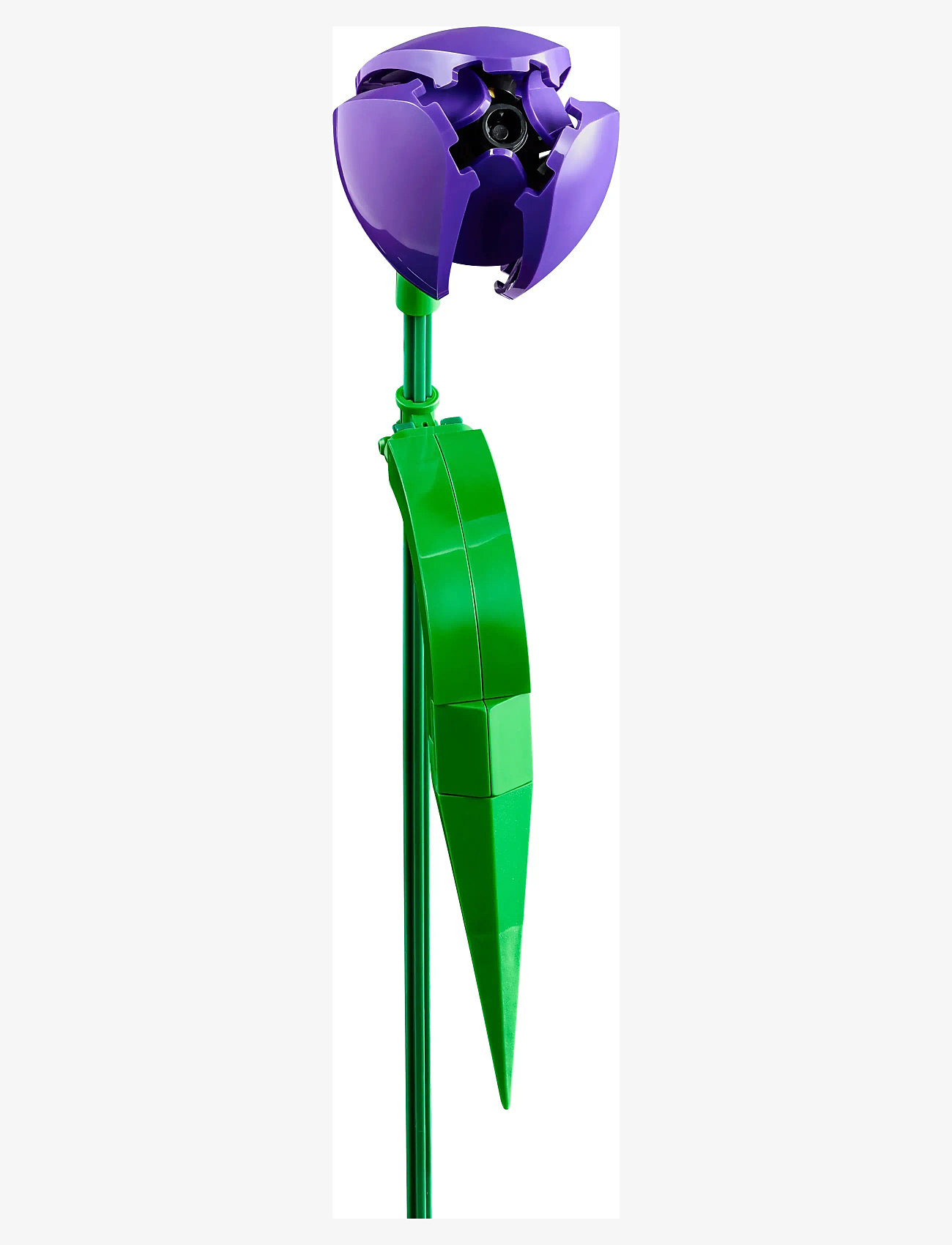 LEGO - BOTANICALS 11501 - lego  botanical collection - multi - 1