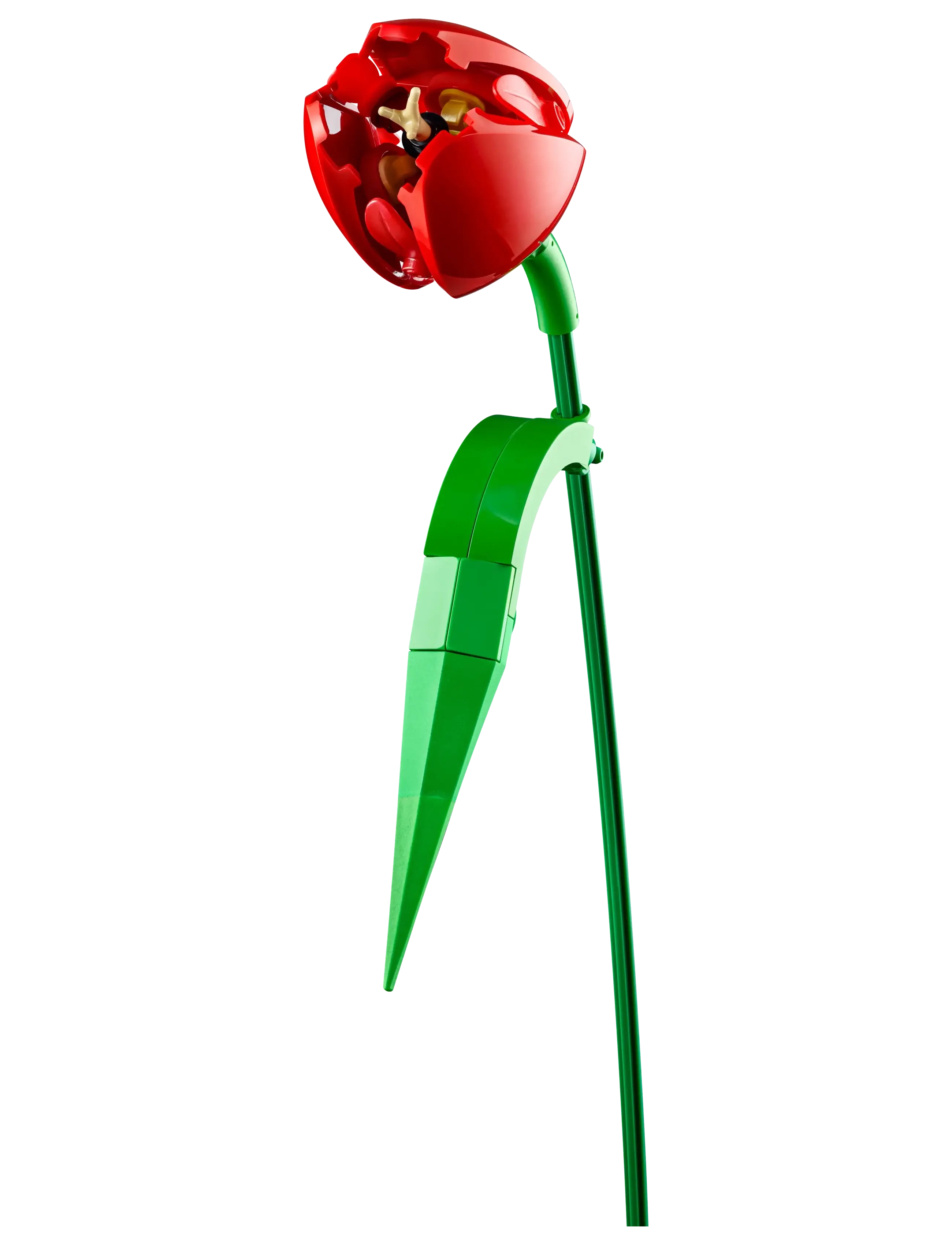 LEGO - Botanicals Tulip Bouquet Flower Decor 11501 - lego botanical collection - multi - 3