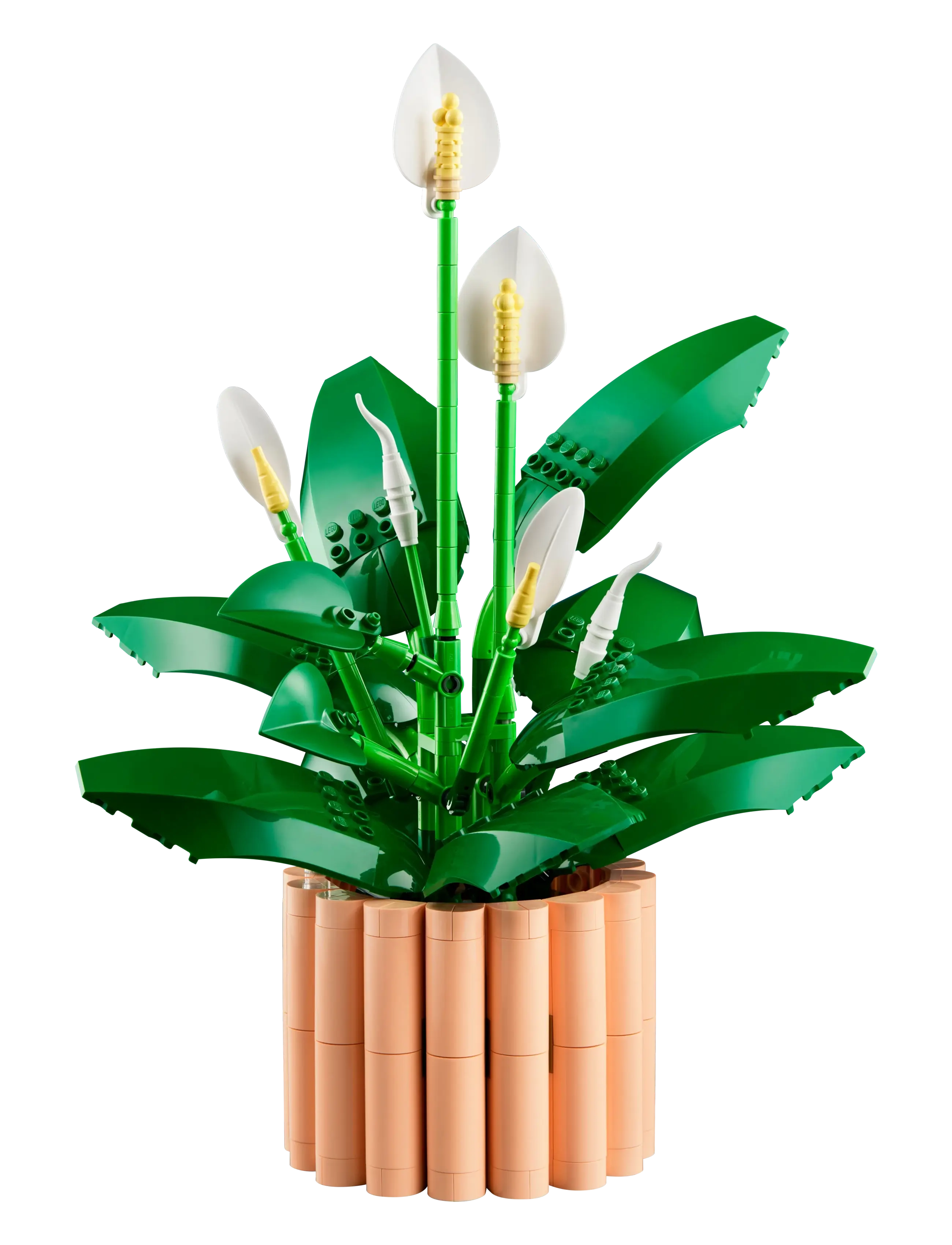 LEGO - BOTANICALS 11504 - lego  botanical collection - multi - 1