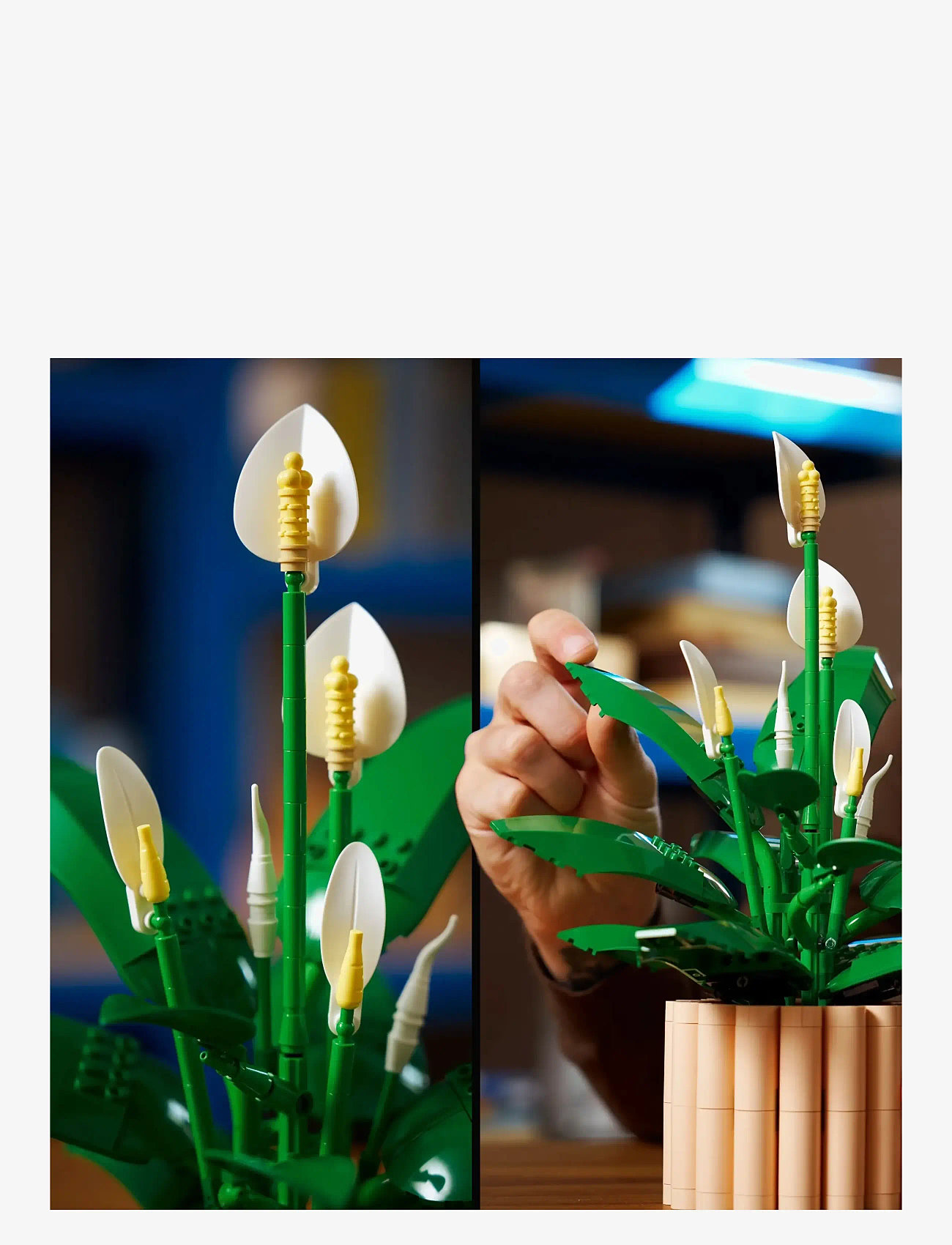 LEGO - Botanicals Peace Lily Flower Decor 11504 - lego botanical collection - multi - 4