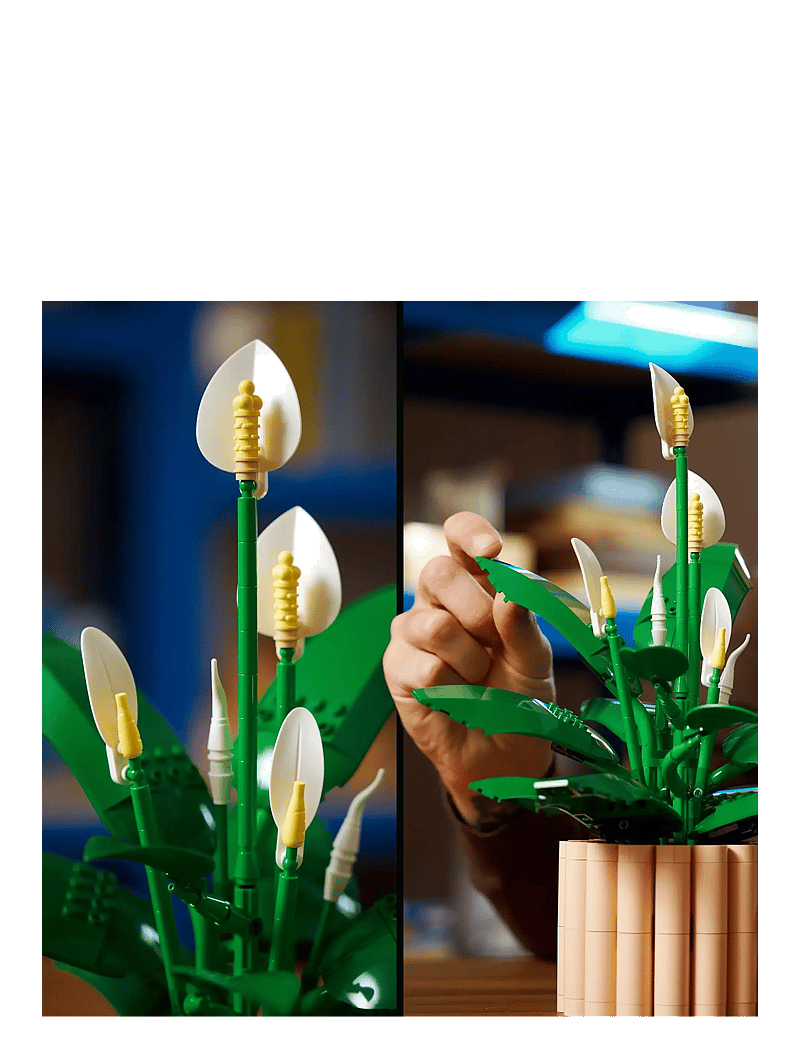 LEGO - Botanicals Peace Lily Flower Decor 11504 - lego botanical collection - multi - 4