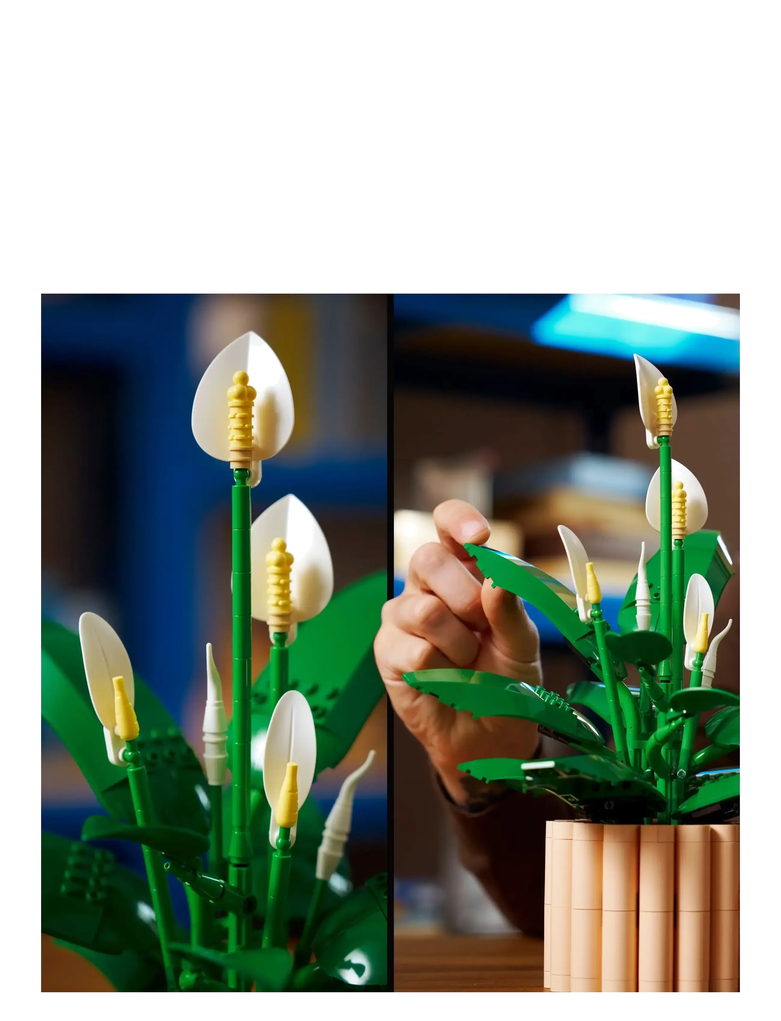 LEGO - BOTANICALS 11504 - lego  botanical collection - multi - 4