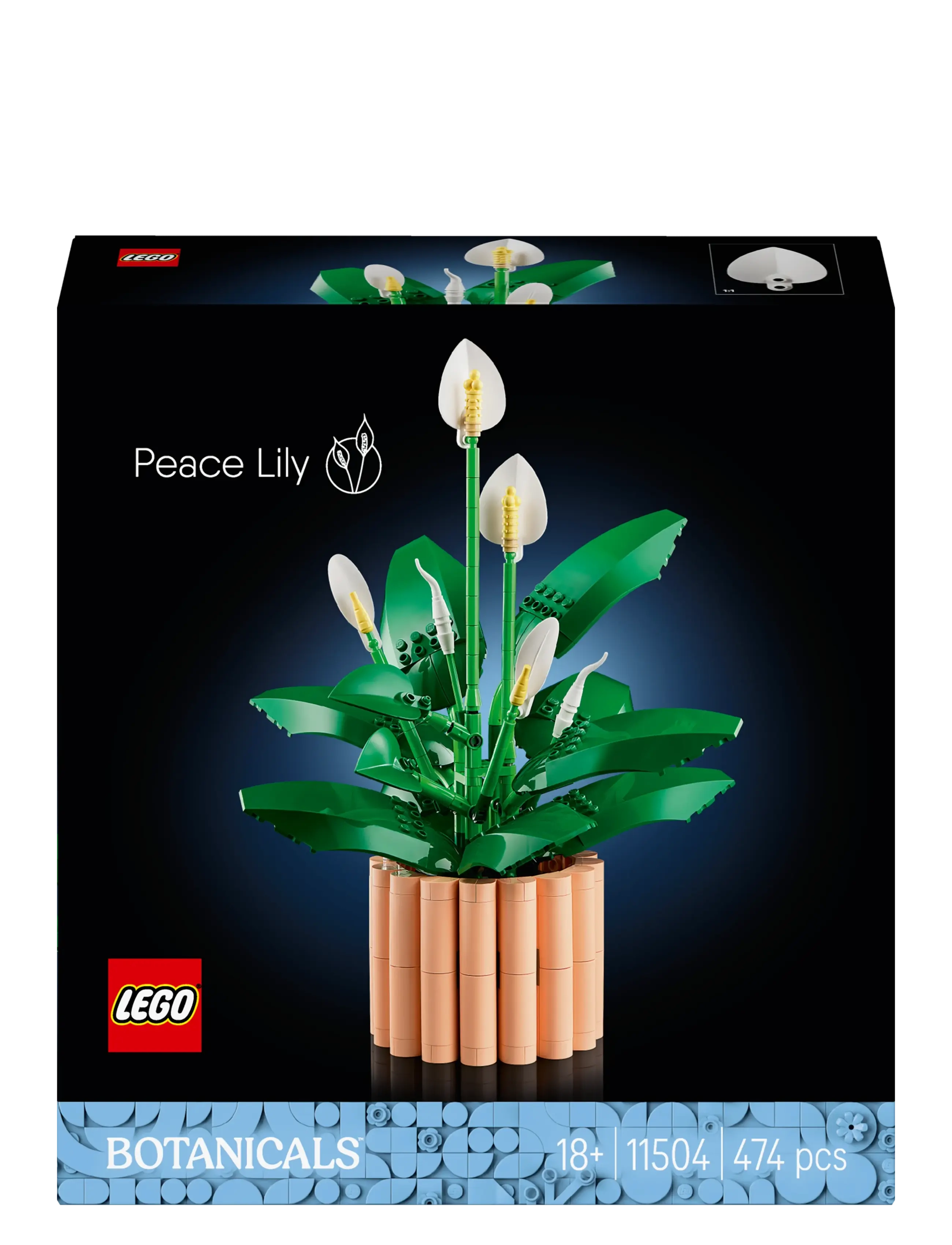 LEGO - BOTANICALS 11504 - lego  botanical collection - multi - 5