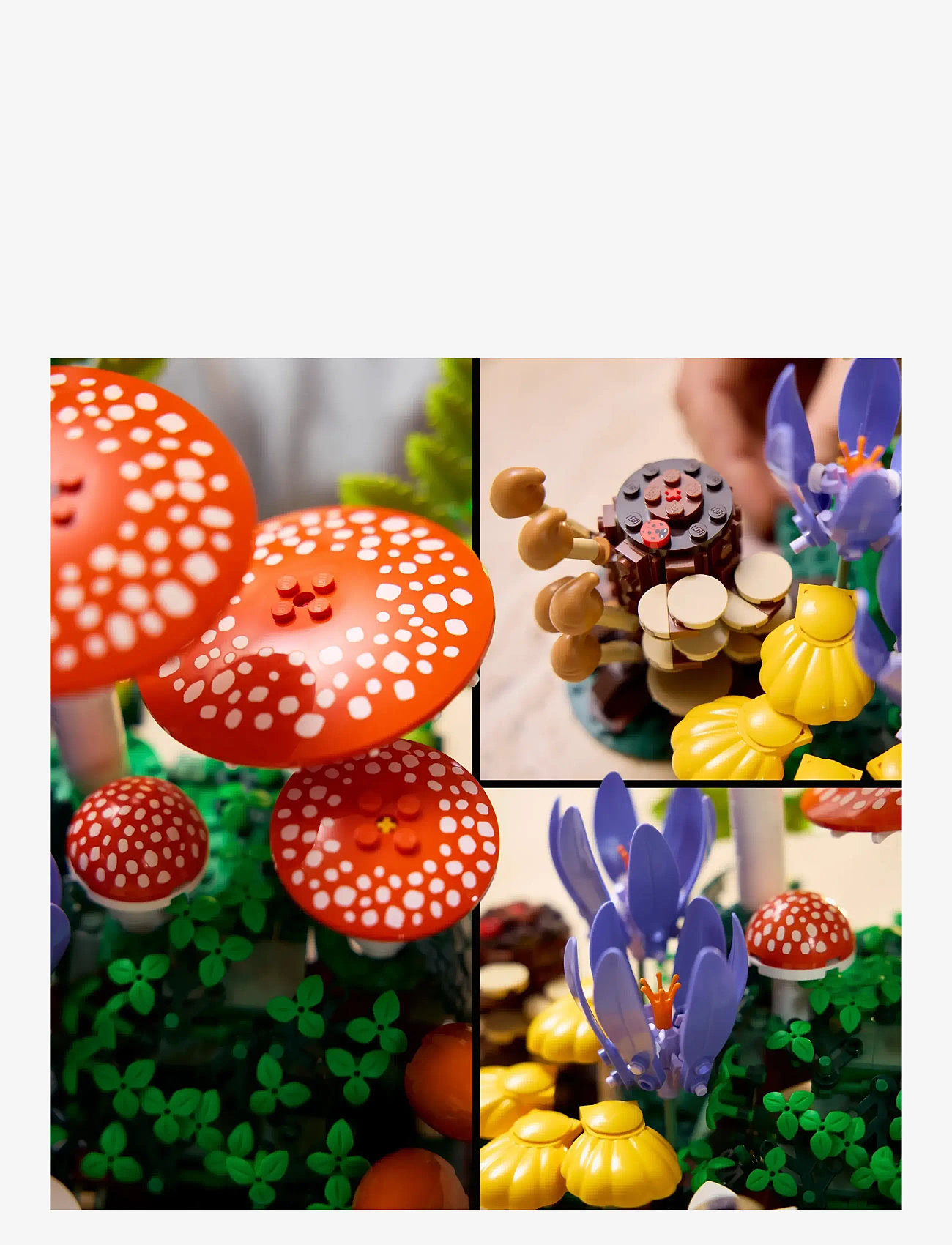 LEGO - BOTANICALS 11505 11505 - multi - 4