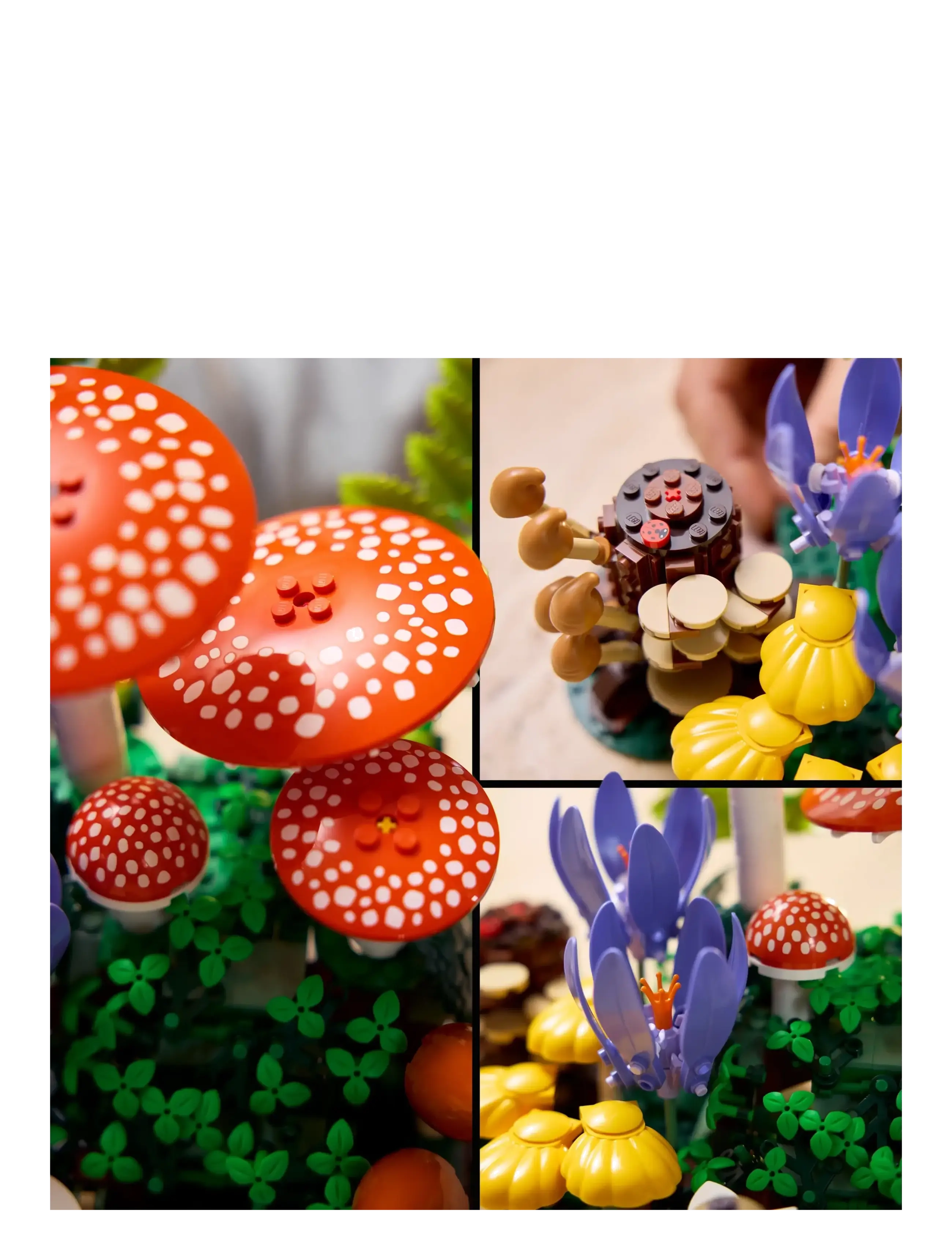 LEGO - BOTANICALS 11505 11505 - lego botanical collection - multi - 4