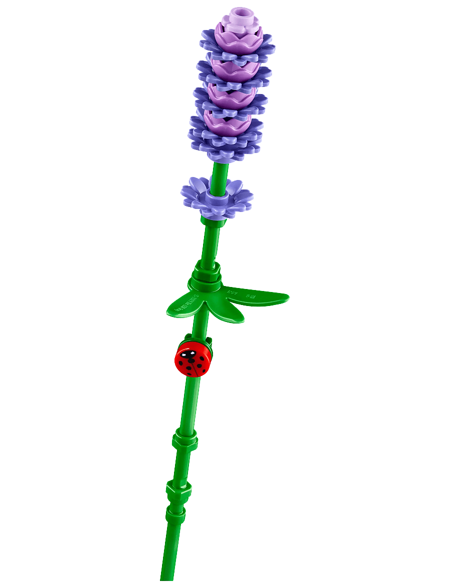 LEGO - Botanicals Daisies Flower Decor 11508 - multi - 2