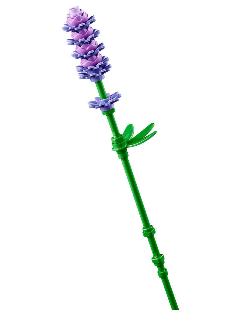 LEGO - Botanicals Daisies Flower Decor 11508 - lego botanical collection - multi - 4