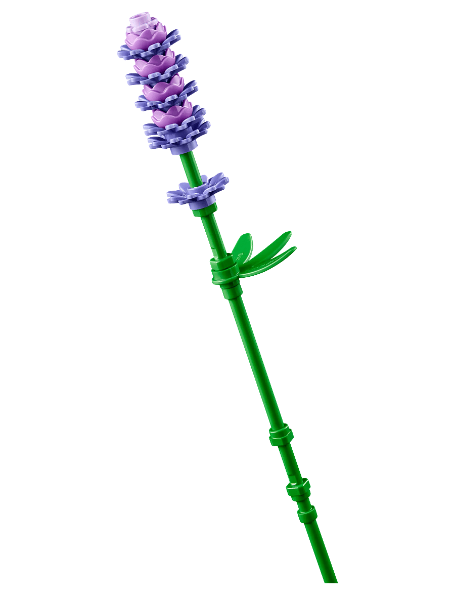 LEGO - Botanicals Daisies Flower Decor 11508 - multi - 4