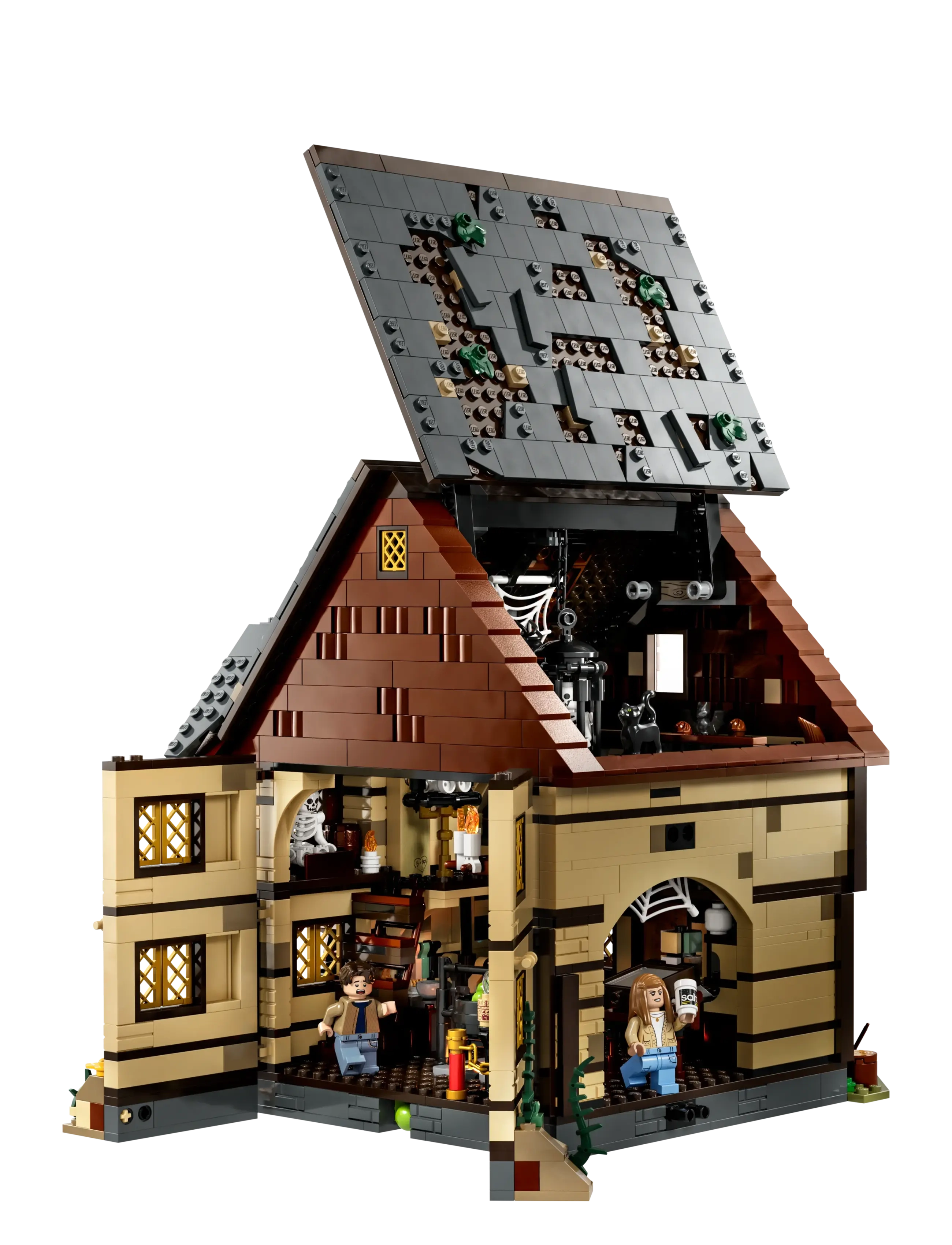 LEGO - Ideas Disney Hocus Pocus: The Sanderson Sisters' Cottage 21341 - multi - 2