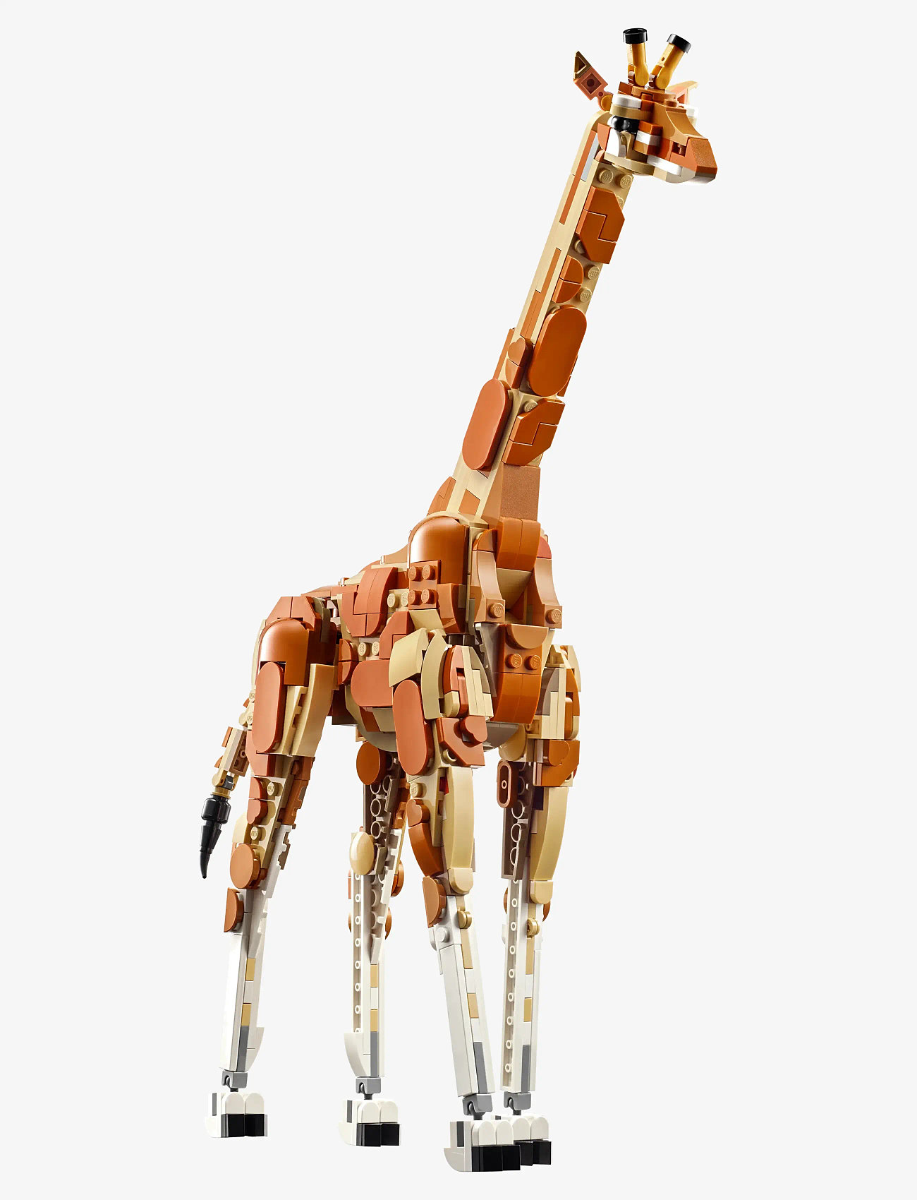 LEGO - Creator Wild Safari Animals 3in1 Set 31150 - lego creator - multi - 3