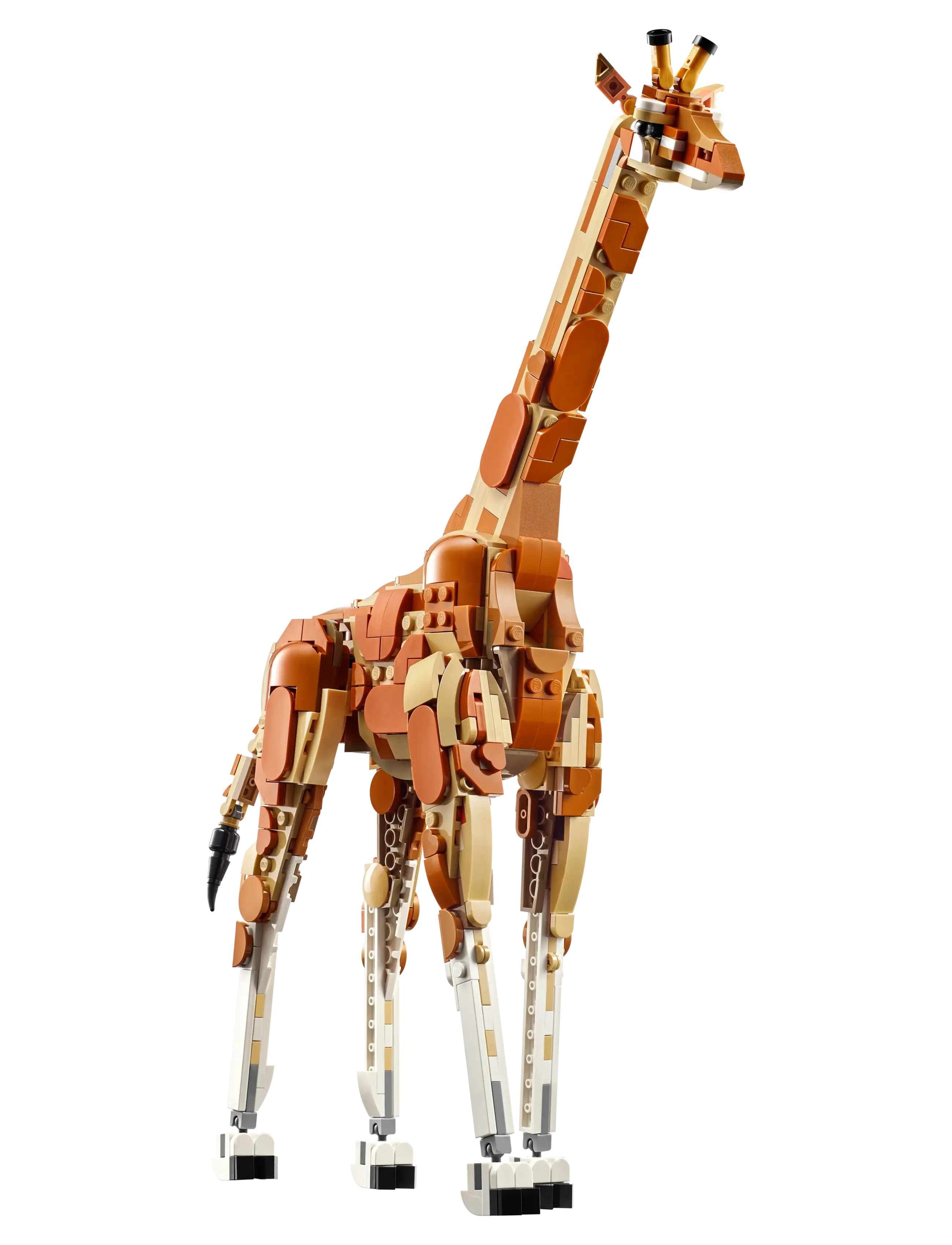LEGO - Vilda safaridjur 31150 - lego® creator - multi - 3
