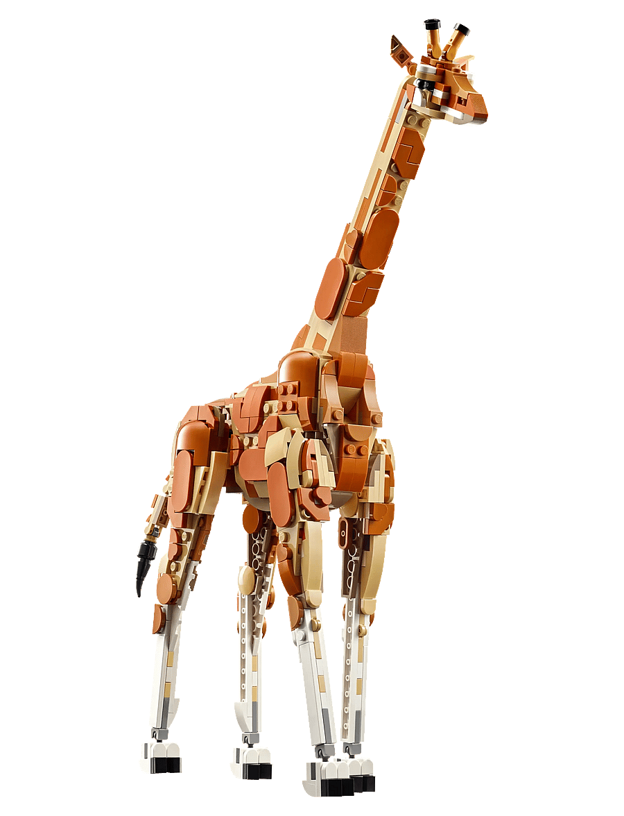 LEGO - Creator Wild Safari Animals 3in1 Set 31150 - lego® creator - multi - 3