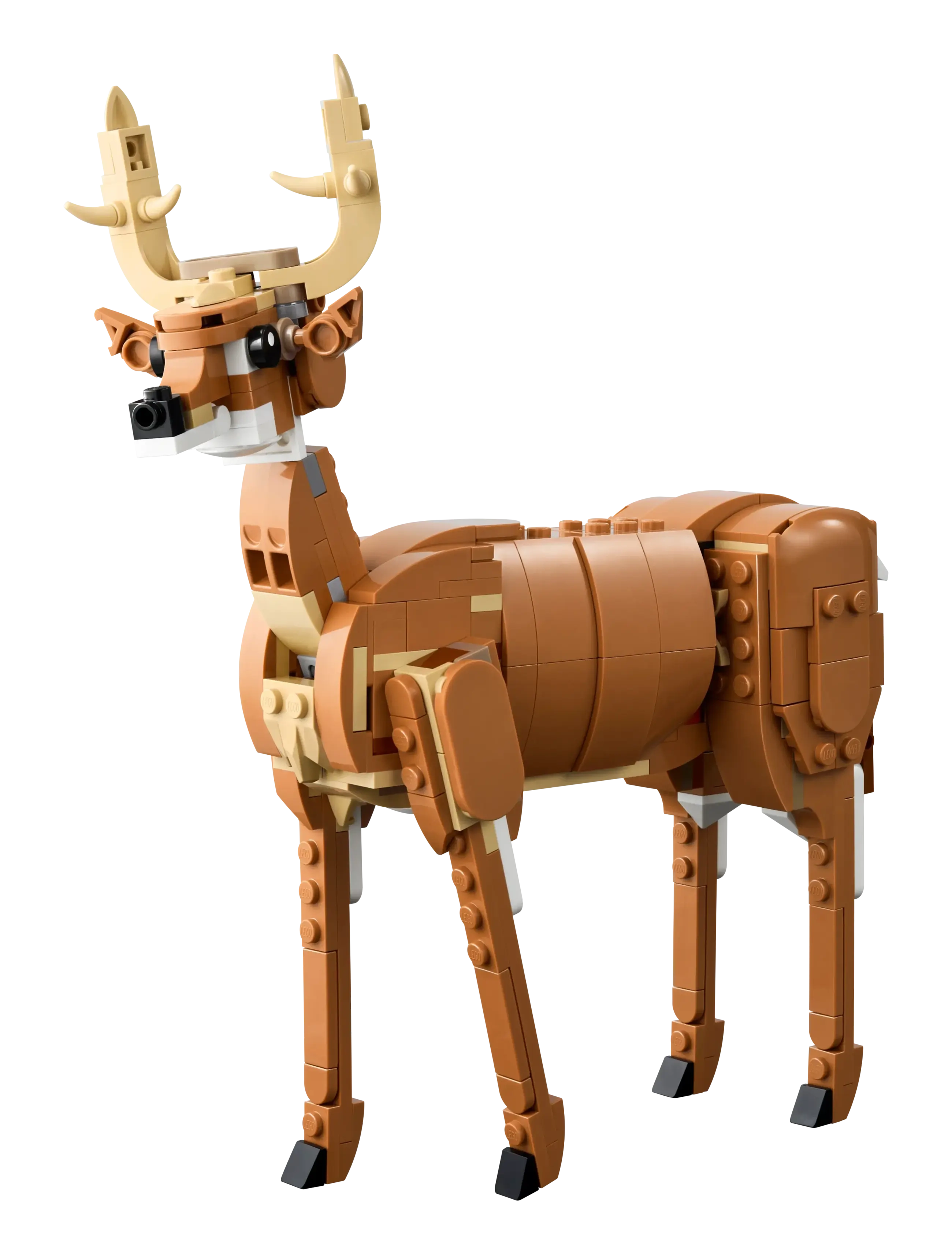 LEGO - Creator 3in1 Beautiful Horse Toy Animal Building Set 31166 - tiere - multi - 2