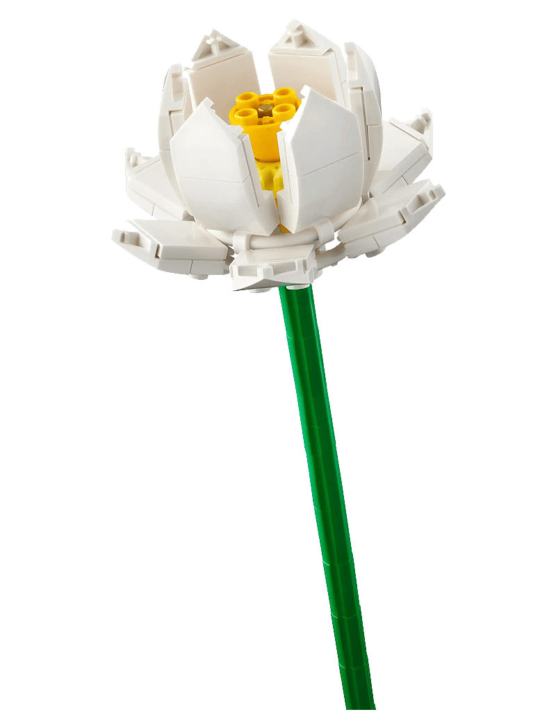 LEGO - Lotus Flowers 40647 Building Toy Set for Ages 8+ - kingitused alla 30€ - multi - 3
